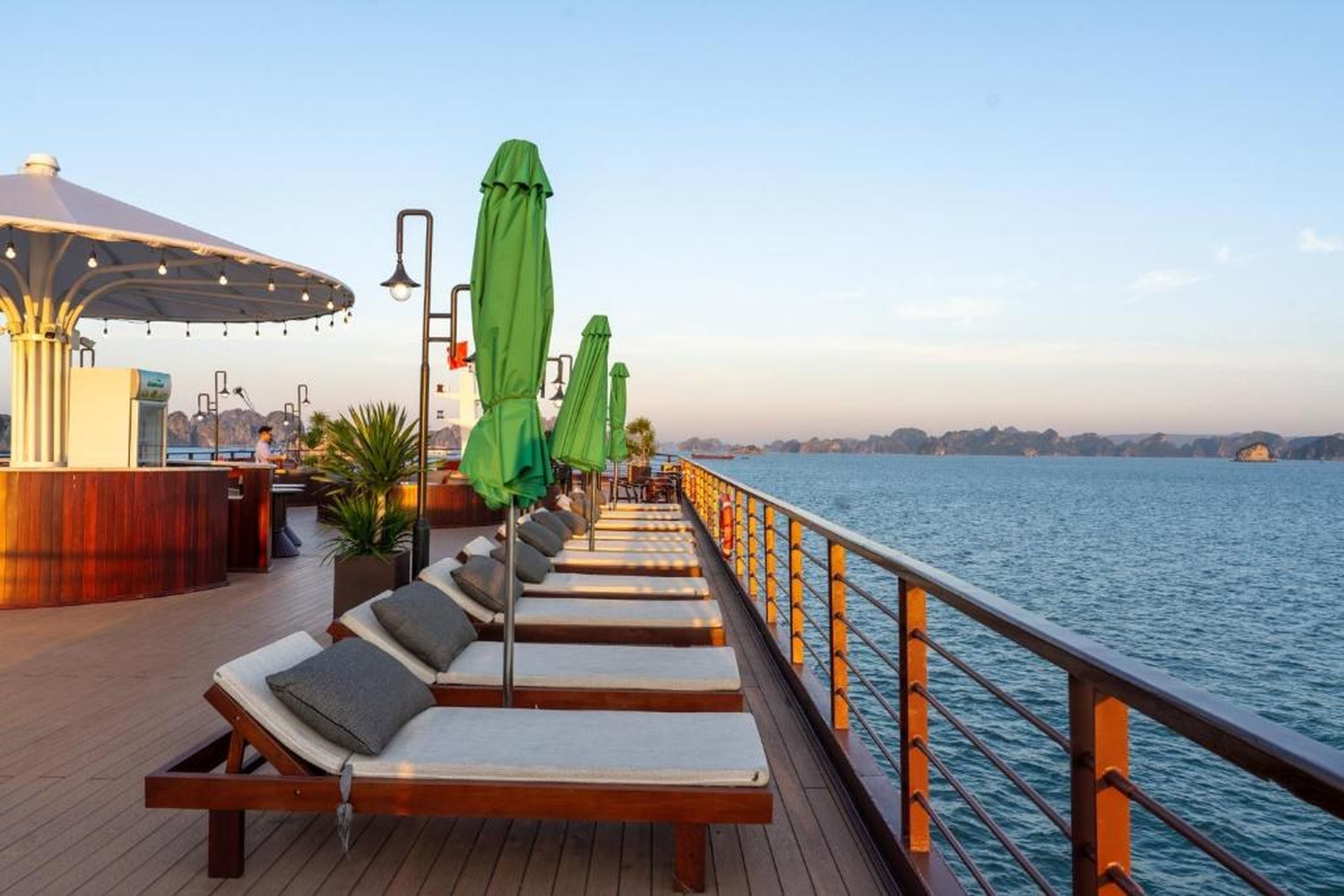 Cycad cruise - Hình 15