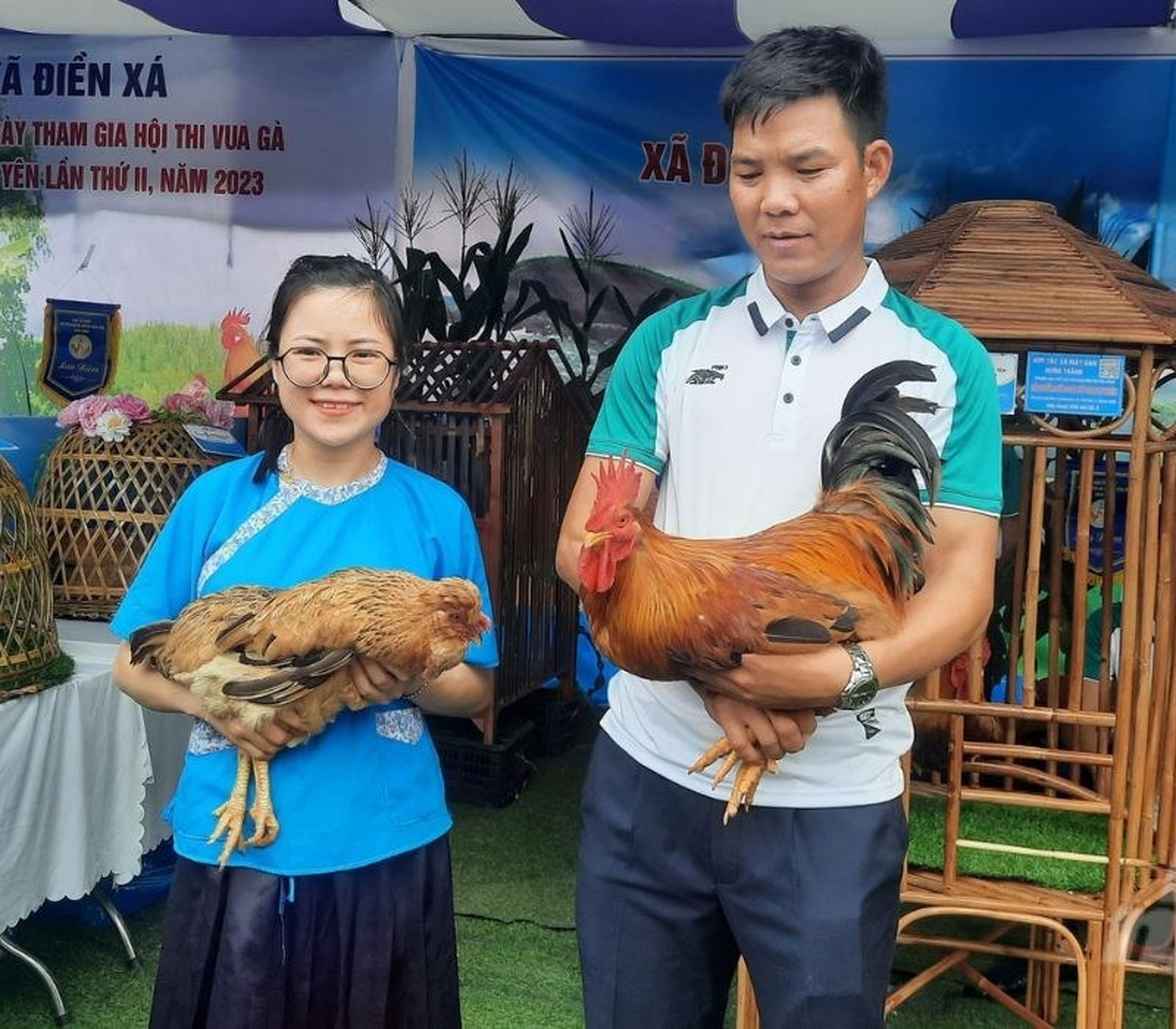 Khám phá gà Tiên Yên, niềm tự hào của người dân vùng đất mỏ - Hình 8