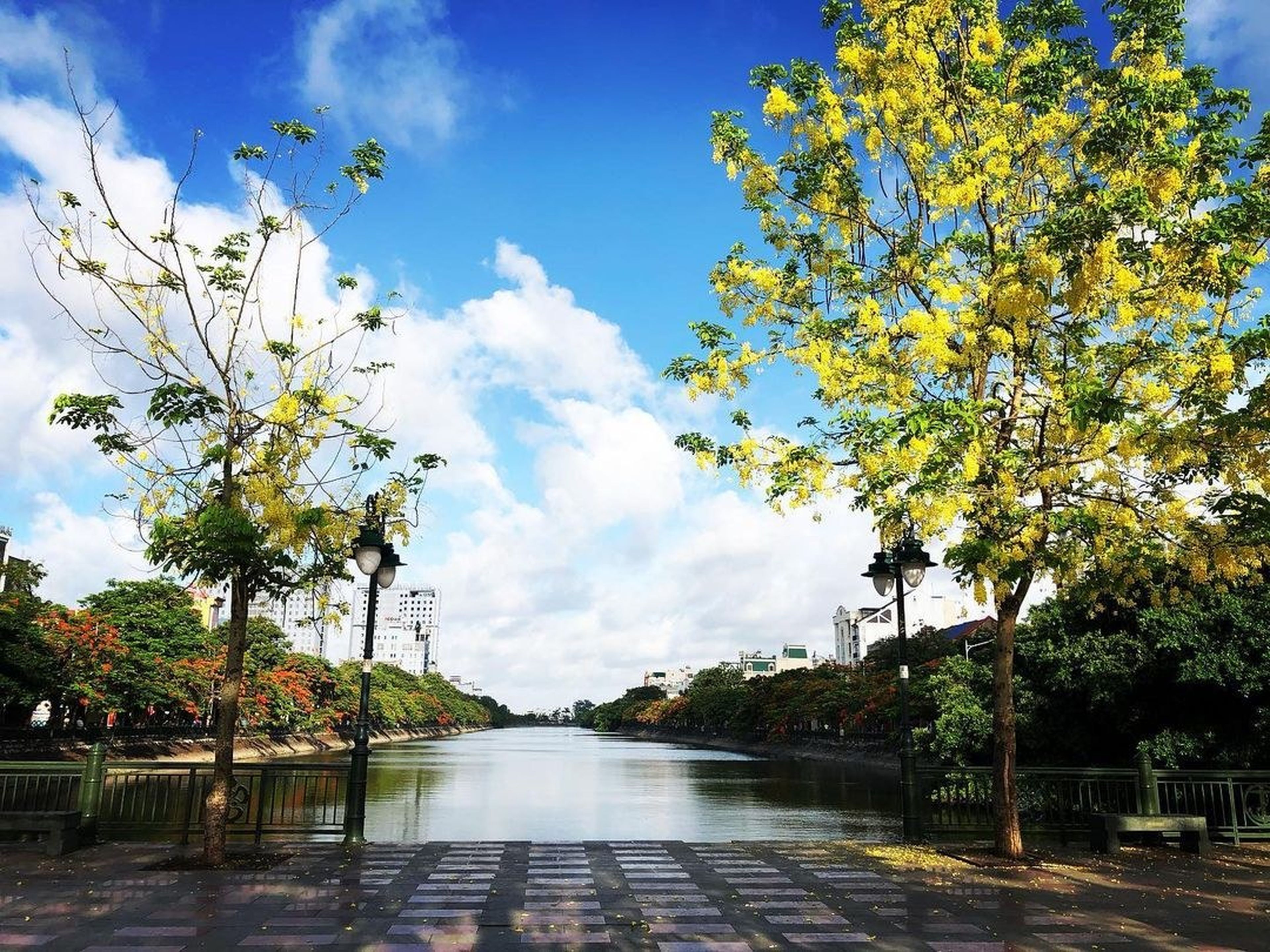 Tam Bạc湖——“红凤凰城”的诗意象征 - Hình 5