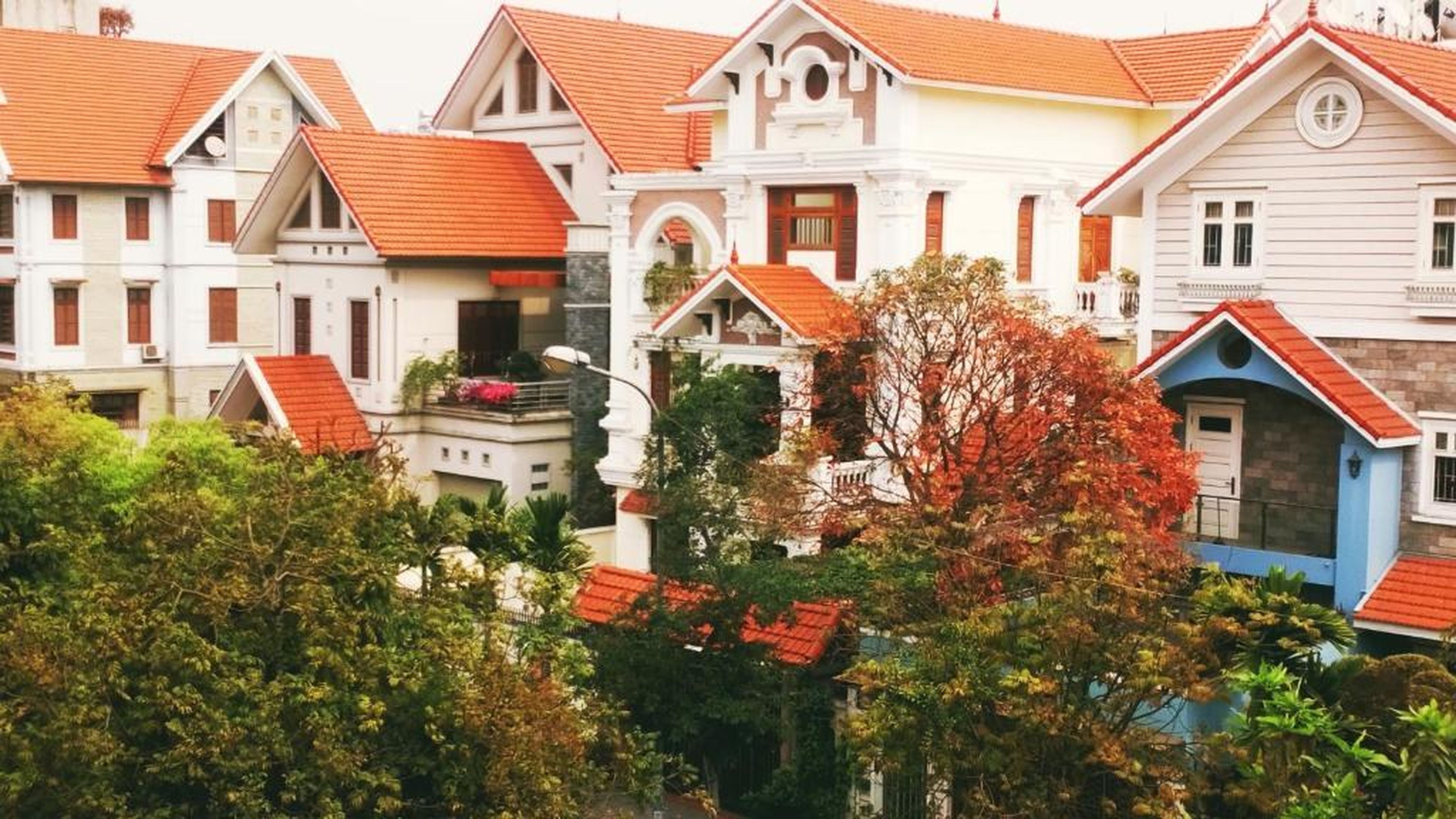 Hạ Long Lily Homestay - Hình 22