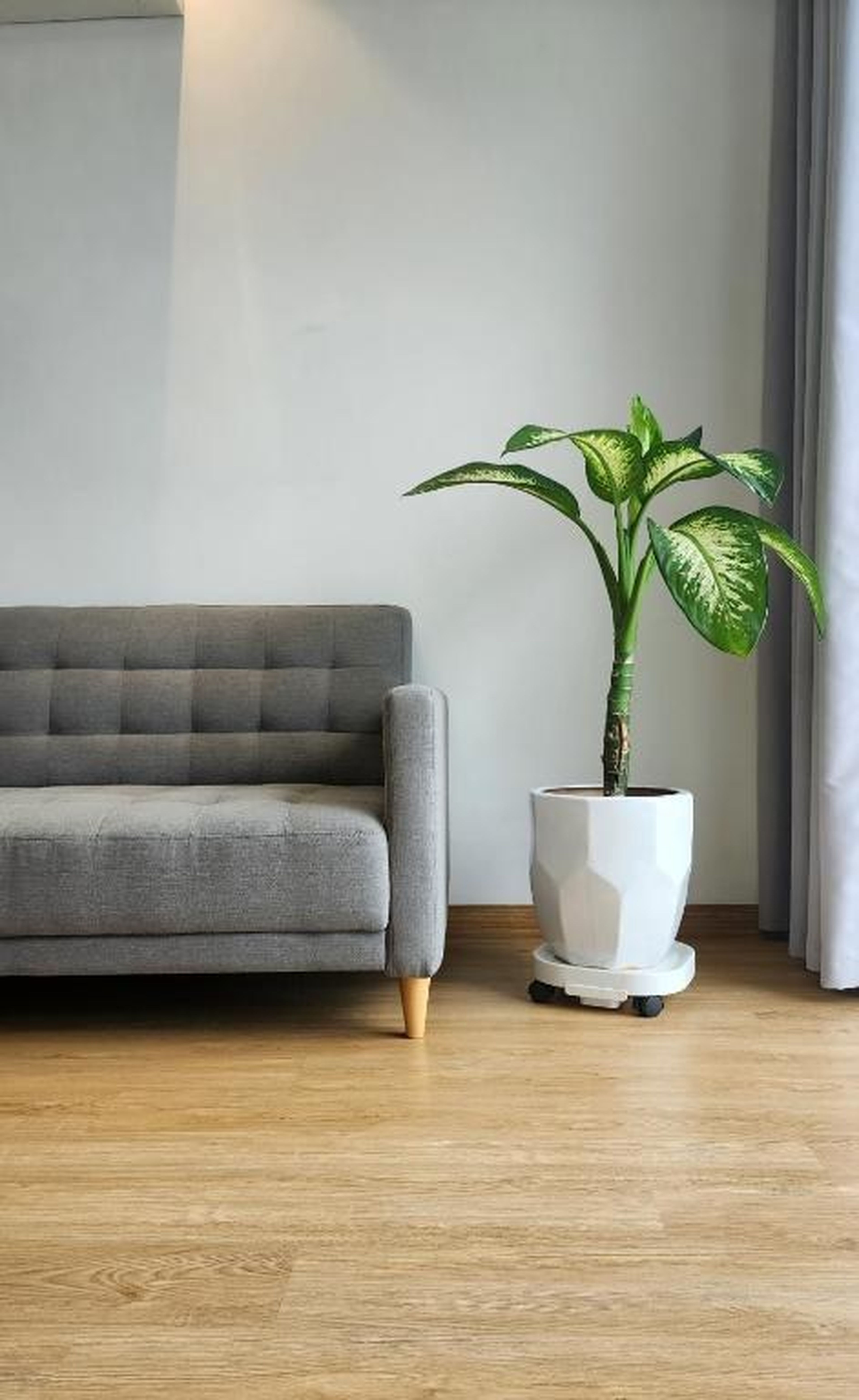 Hoa Homestay Hạ Long - Hình 23
