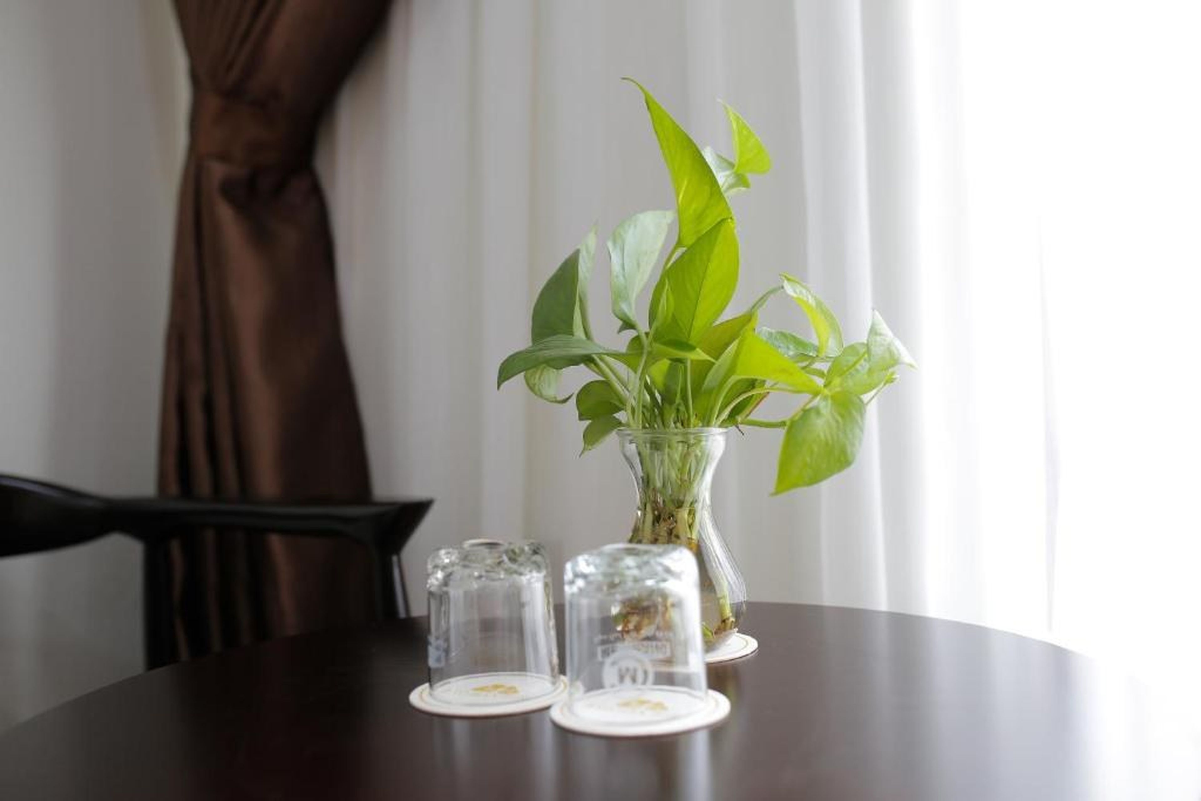 Bảo Hân 2 Hotel - Hình 38