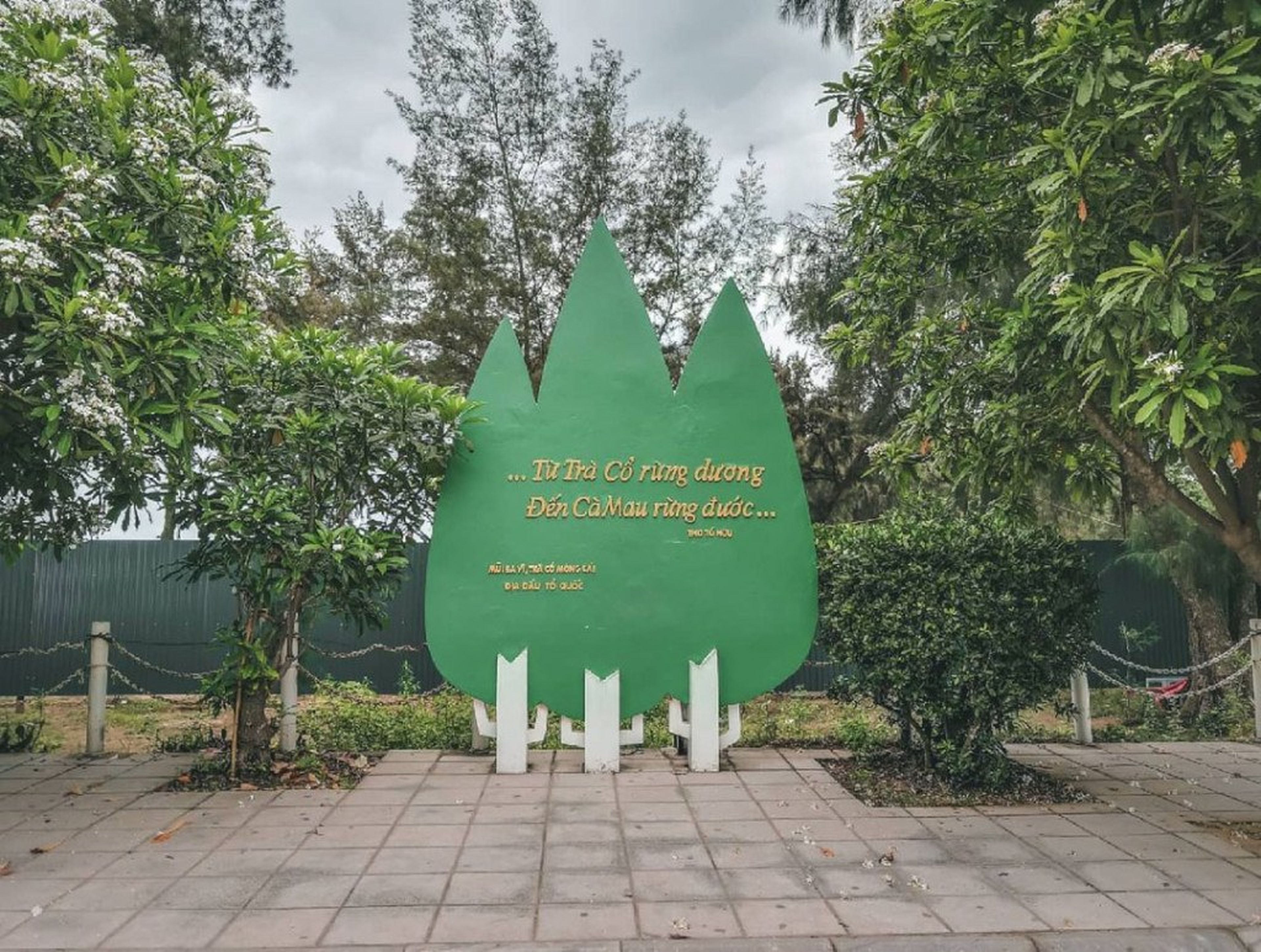 Du lịch Quảng Ninh: Khám phá những điểm đến hấp dẫn ở Trà Cổ - Hình 2