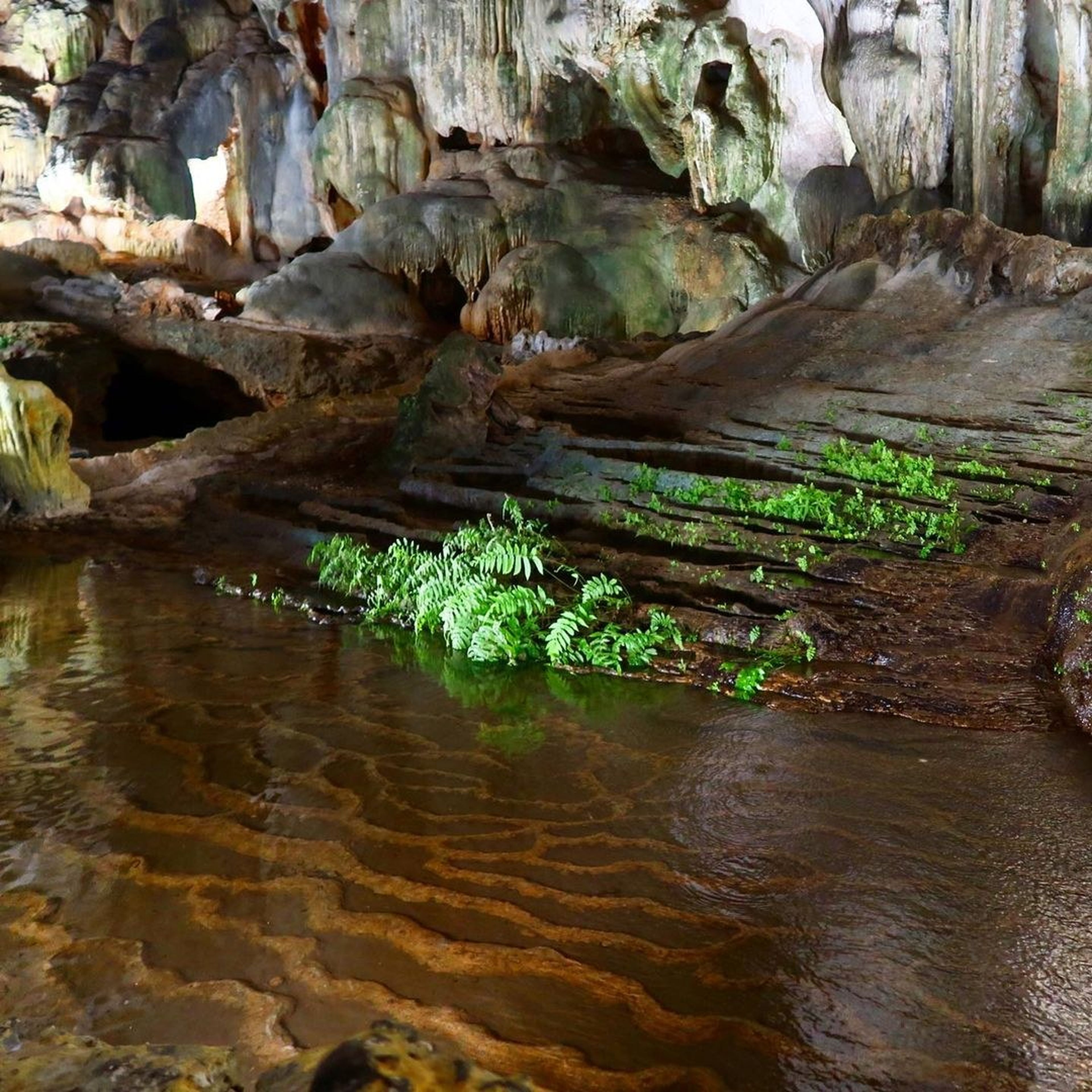 Thien Cung Cave – A hidden paradise in Ha Long Bay - Hình 7