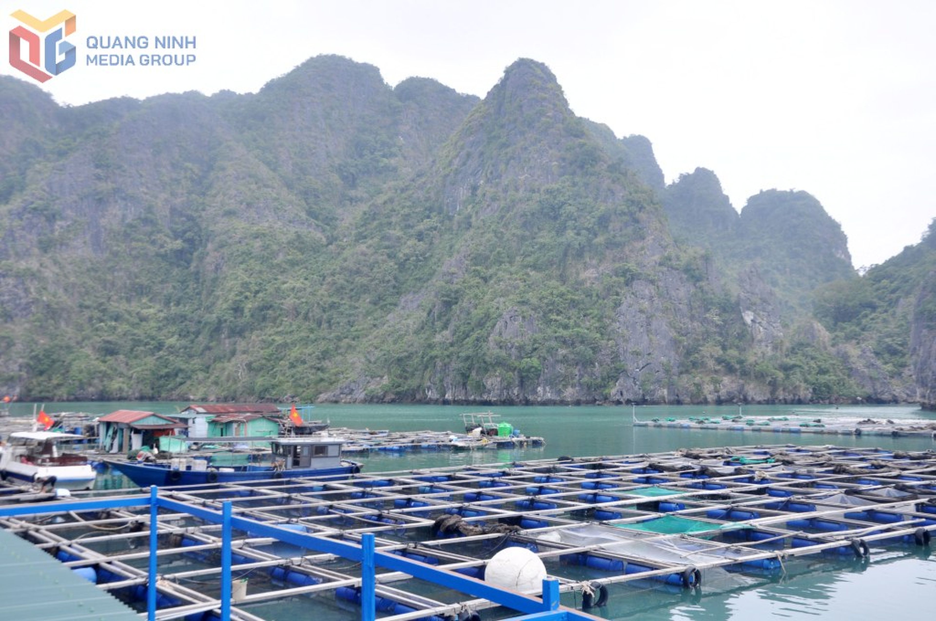 Developing Tourism Linked to Aquaculture in Van Don - Hình 2