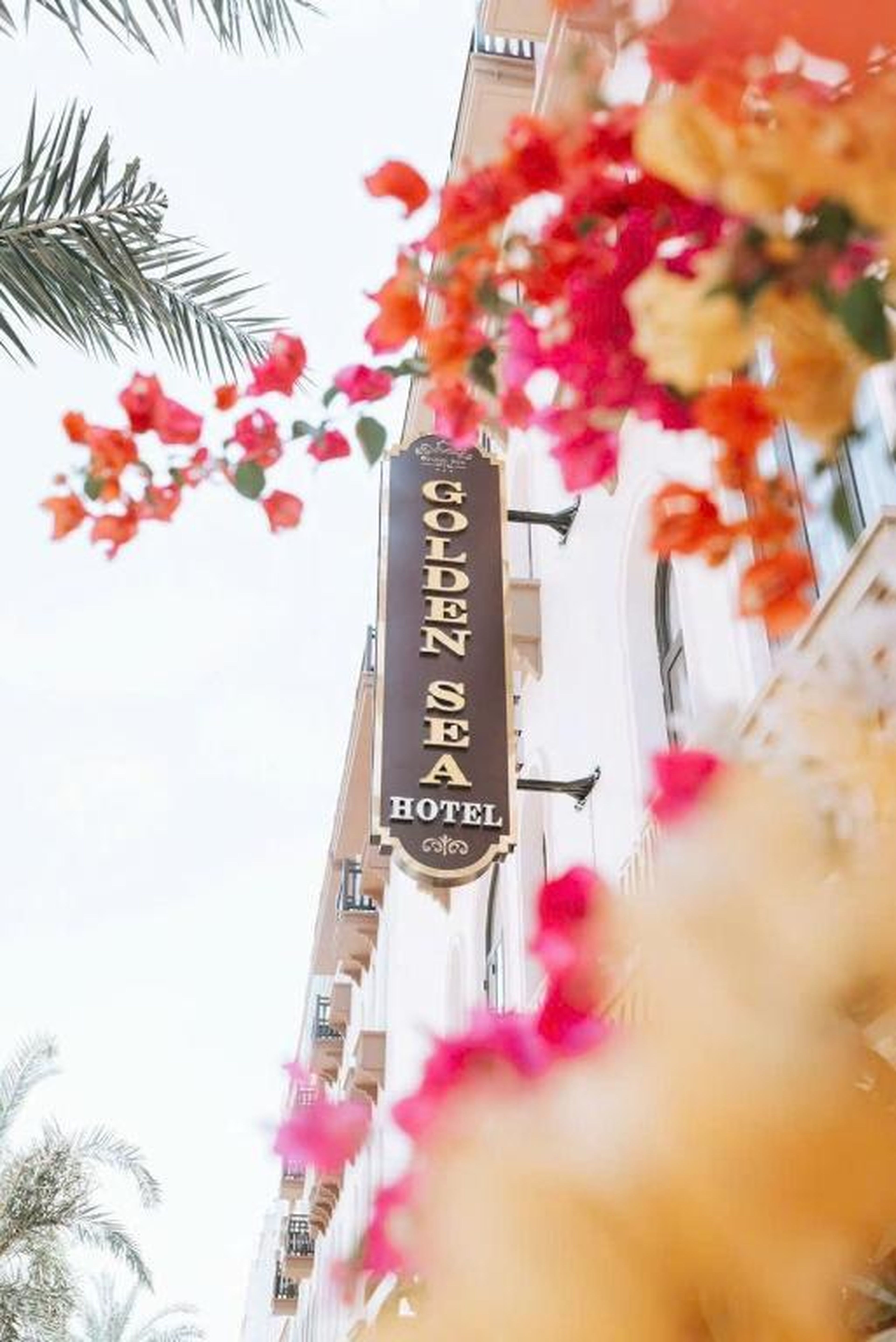 Khách sạn Golden Sea Hạ Long - Hình 12