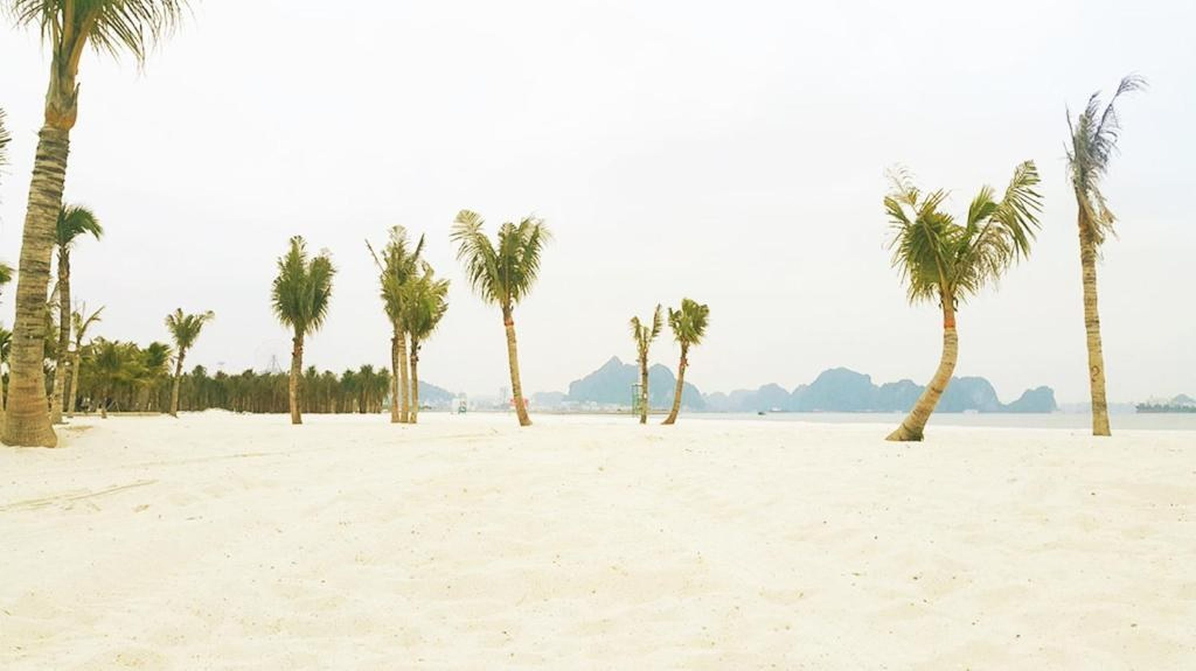 The Bay - Ha Long Homestay - Hình 33