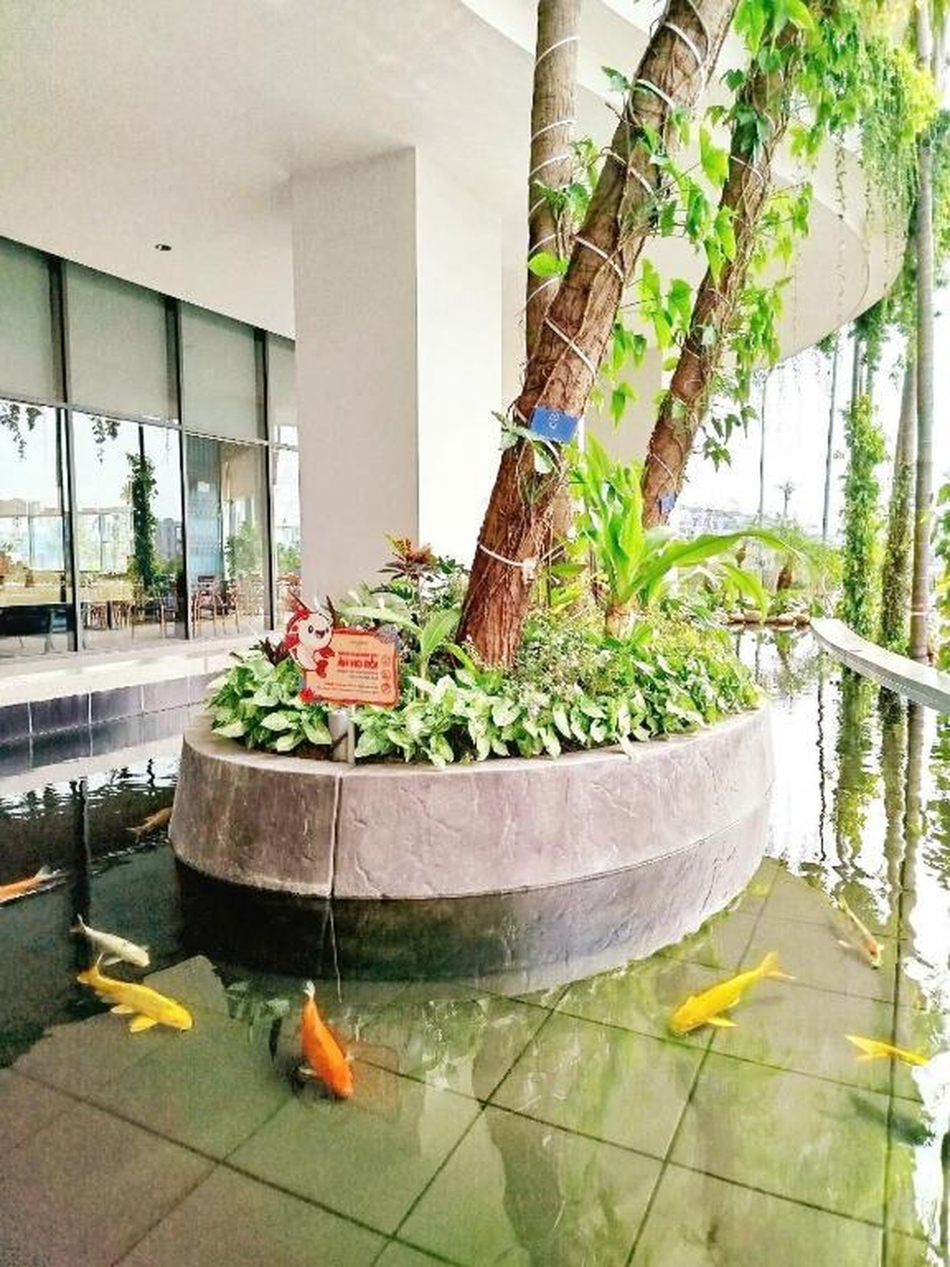 Sweet Home - Homestay apartment system at Citadines Marina Ha Long building - Hình 8