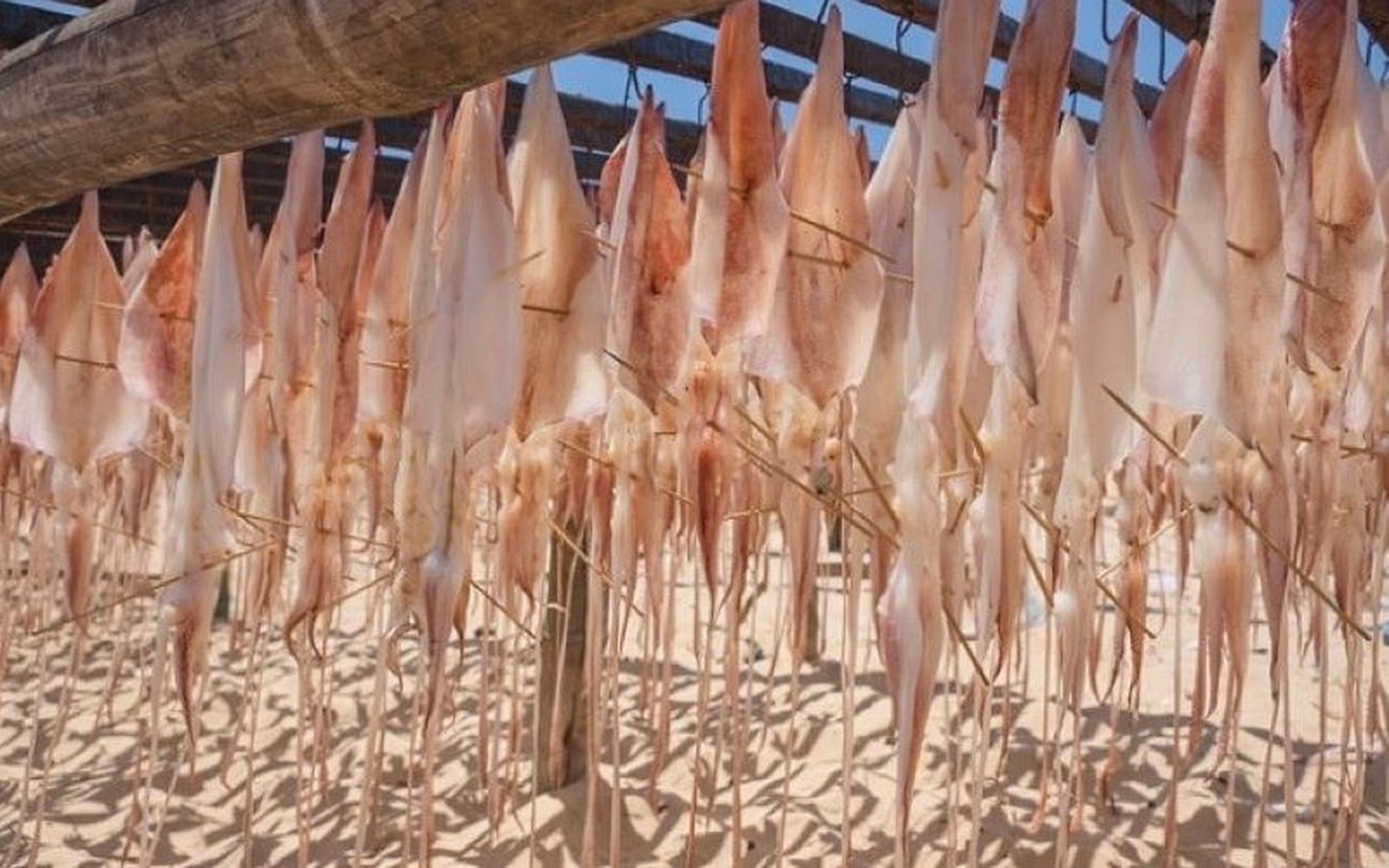 Khám phá đảo Ngọc Vừng: Vùng đất lịch sử với cảnh sắc hùng vĩ - Hình 9