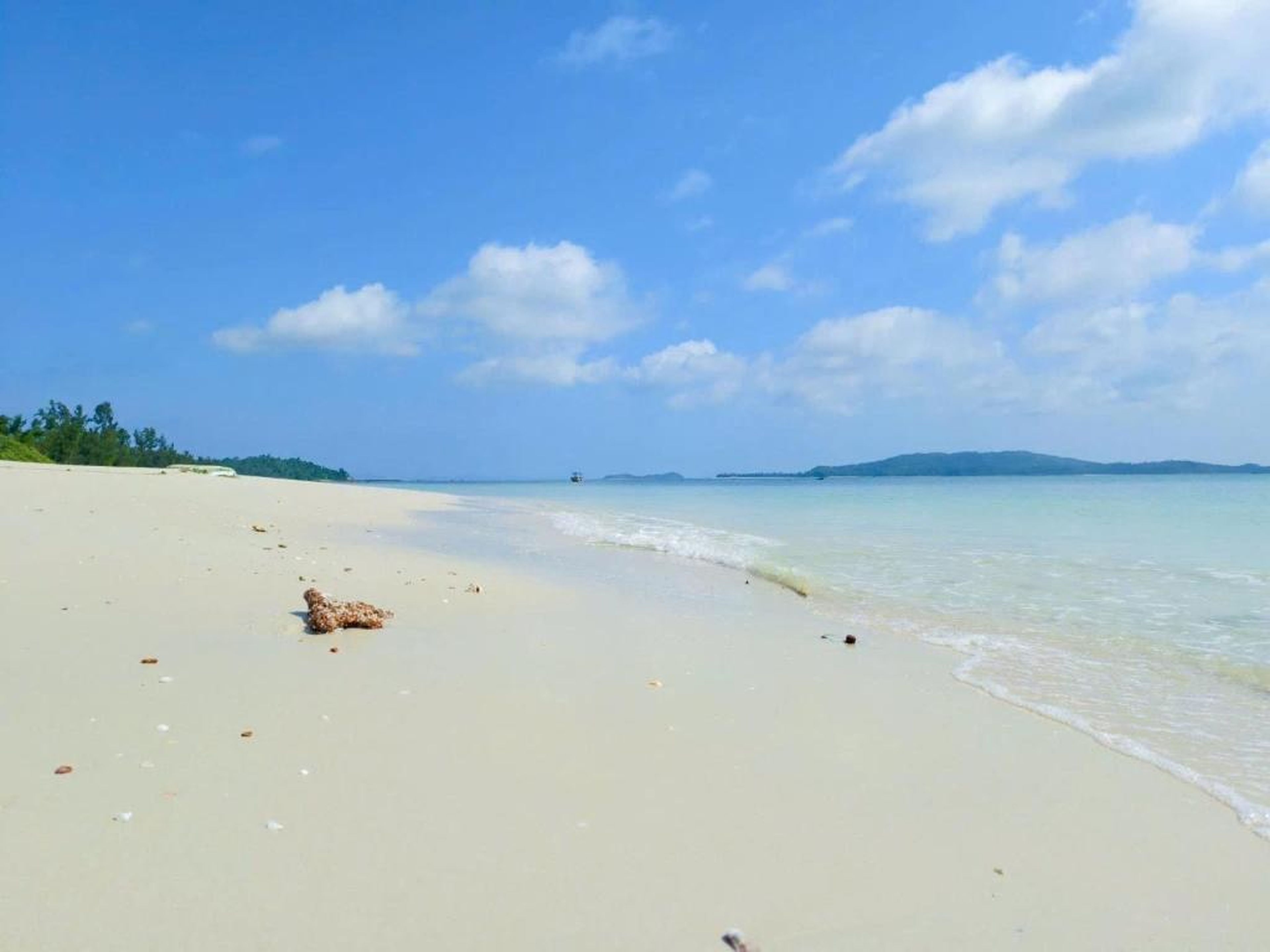 Co To Victory Homestay - Hình 33