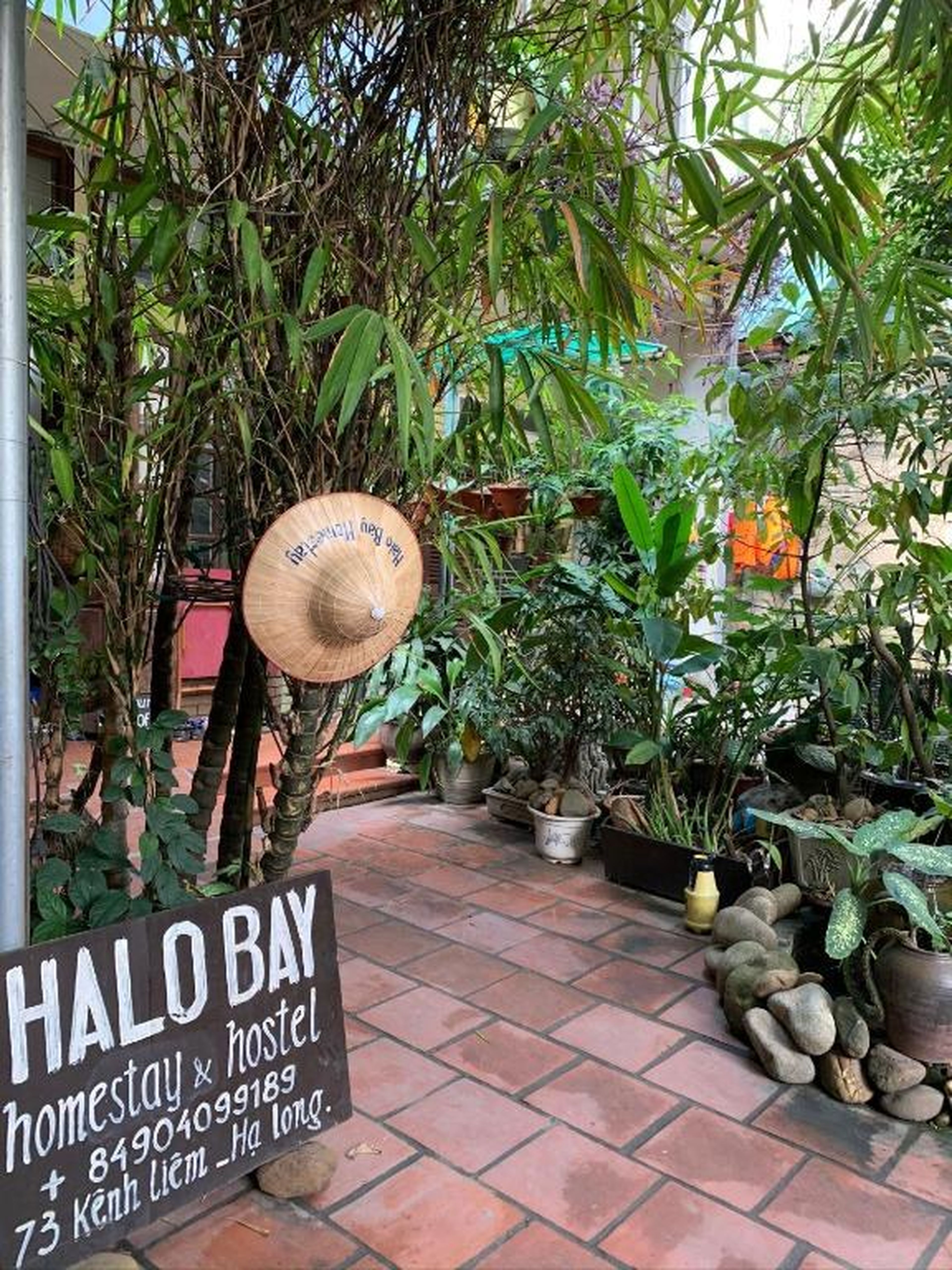 Halo Bay Homestay - Hình 17