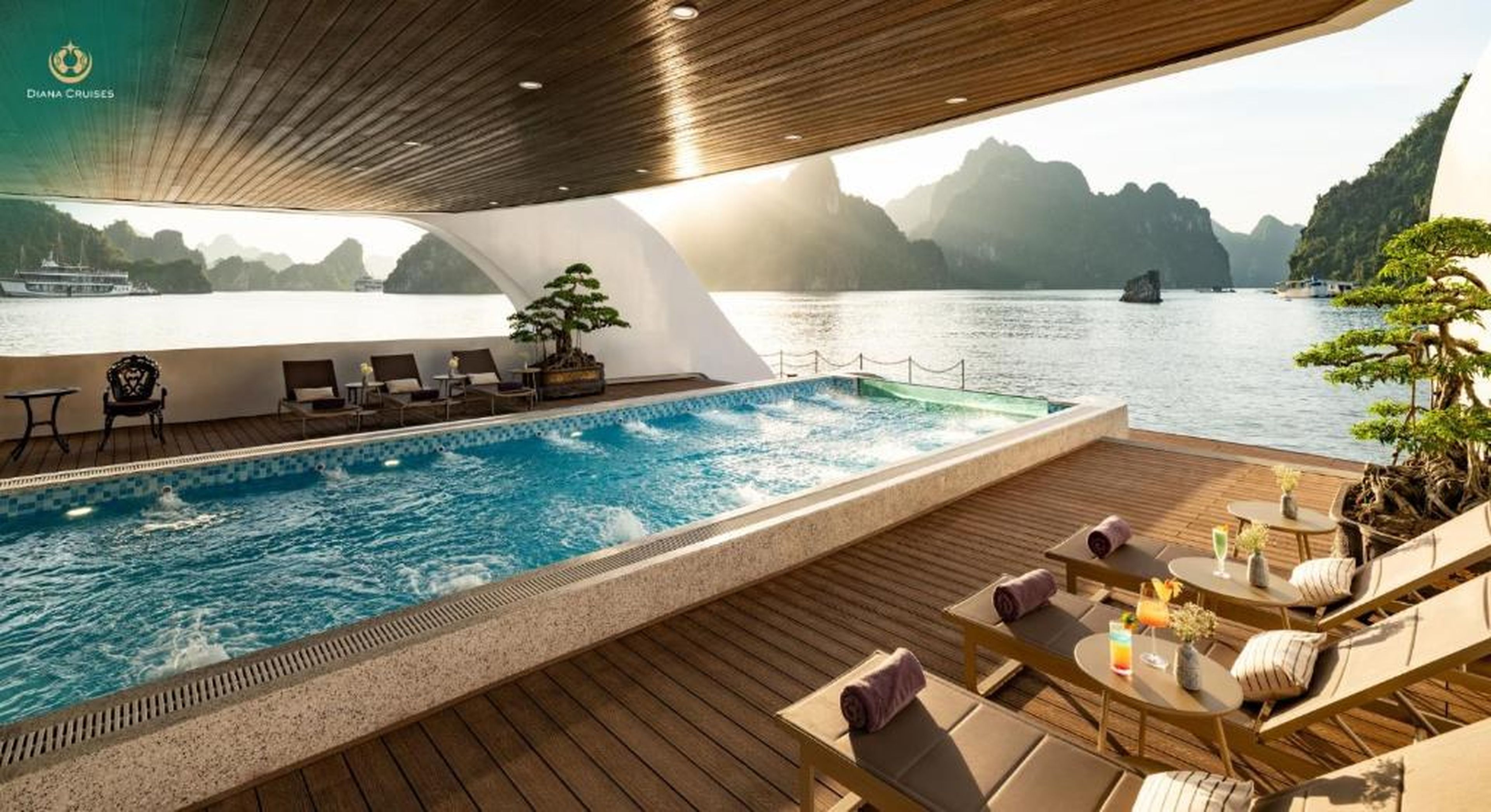 Diana Cruises Halong Bay - Luxury by Venus Group - Hình 8