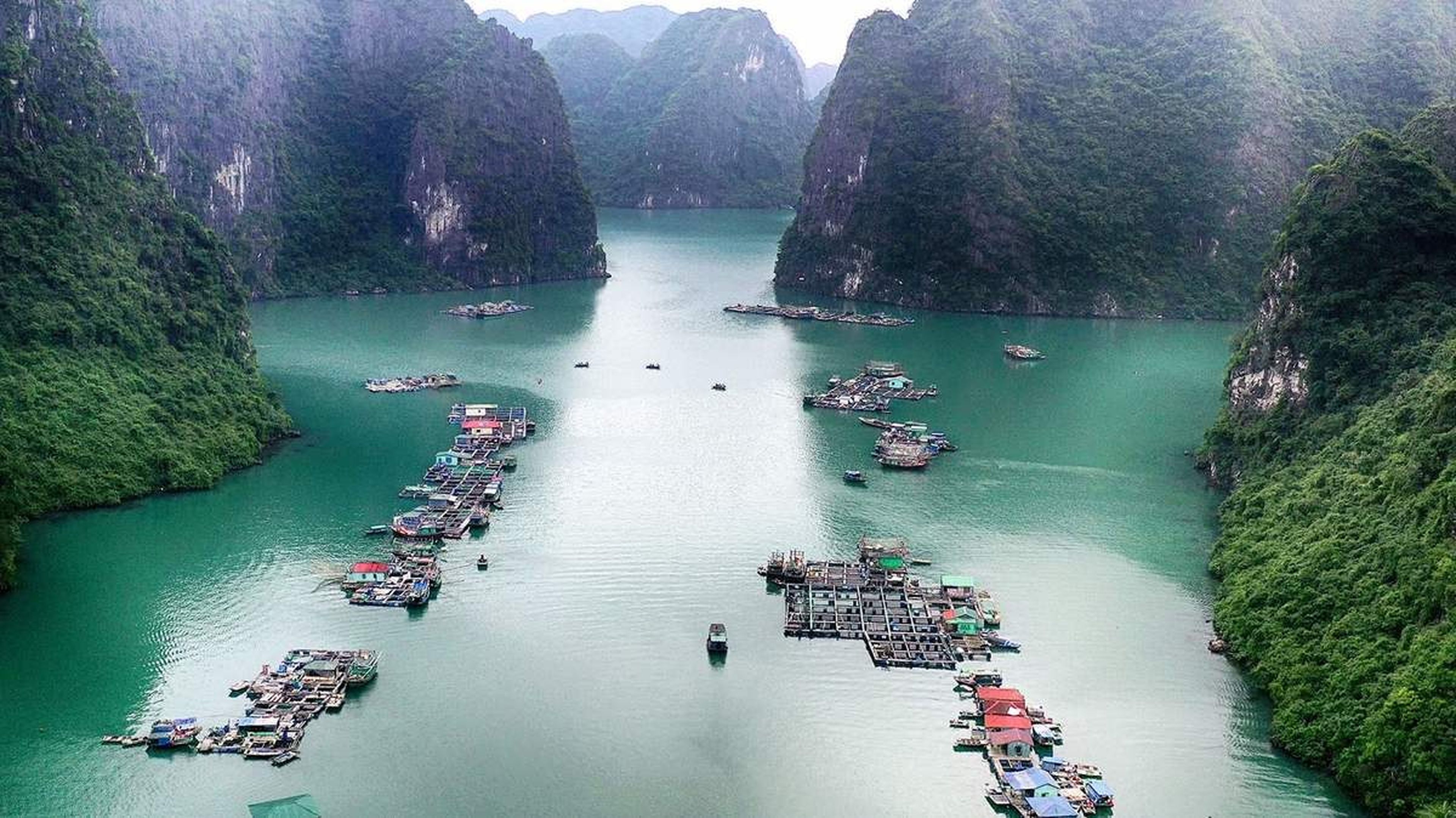 Làng chài Cửa Vạn - Ngôi làng nhỏ thanh bình giữa Vịnh Thiên Đường - Hình 5