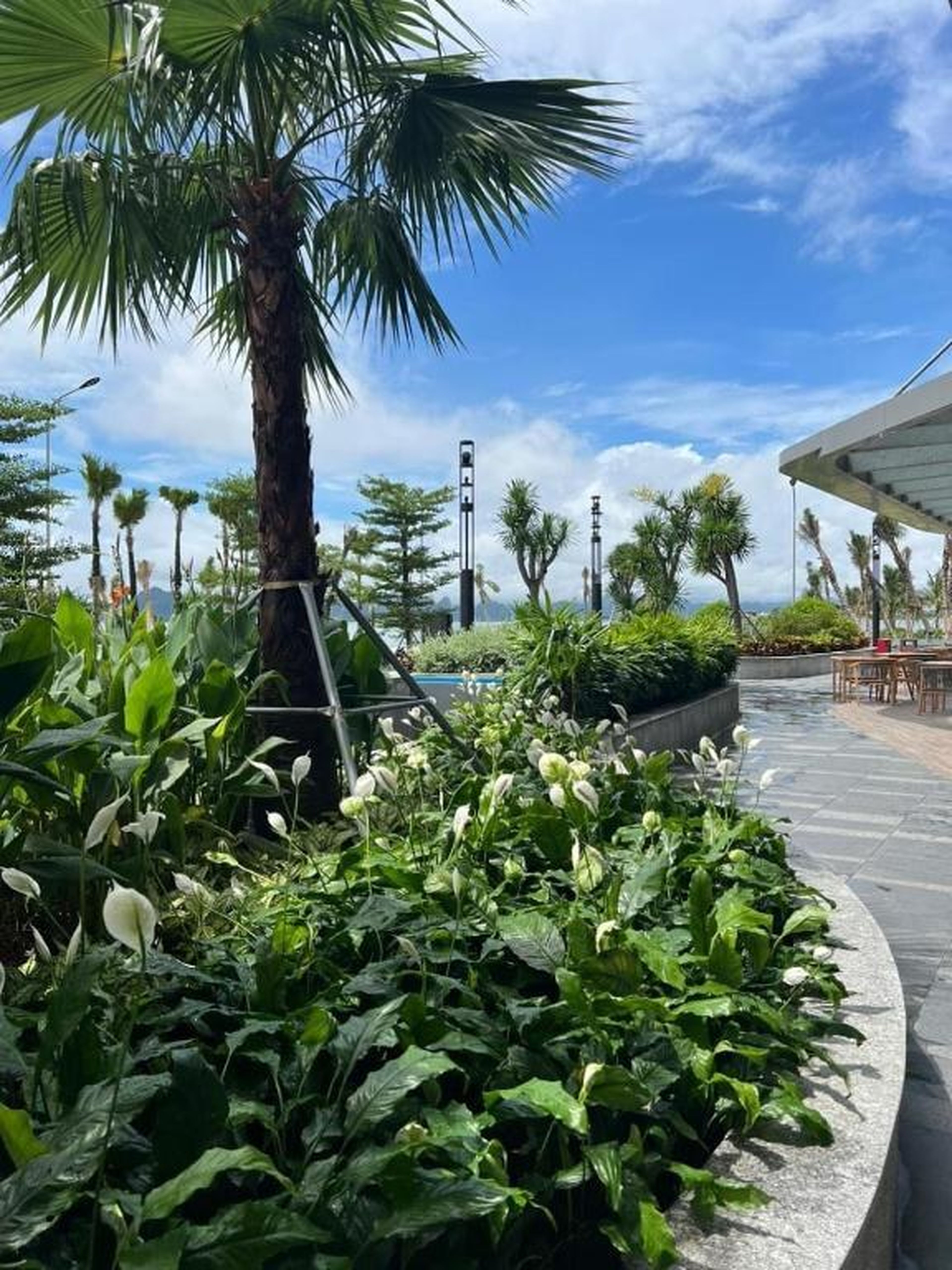 Alacarte condo - right on beach - high floor - Hình 10