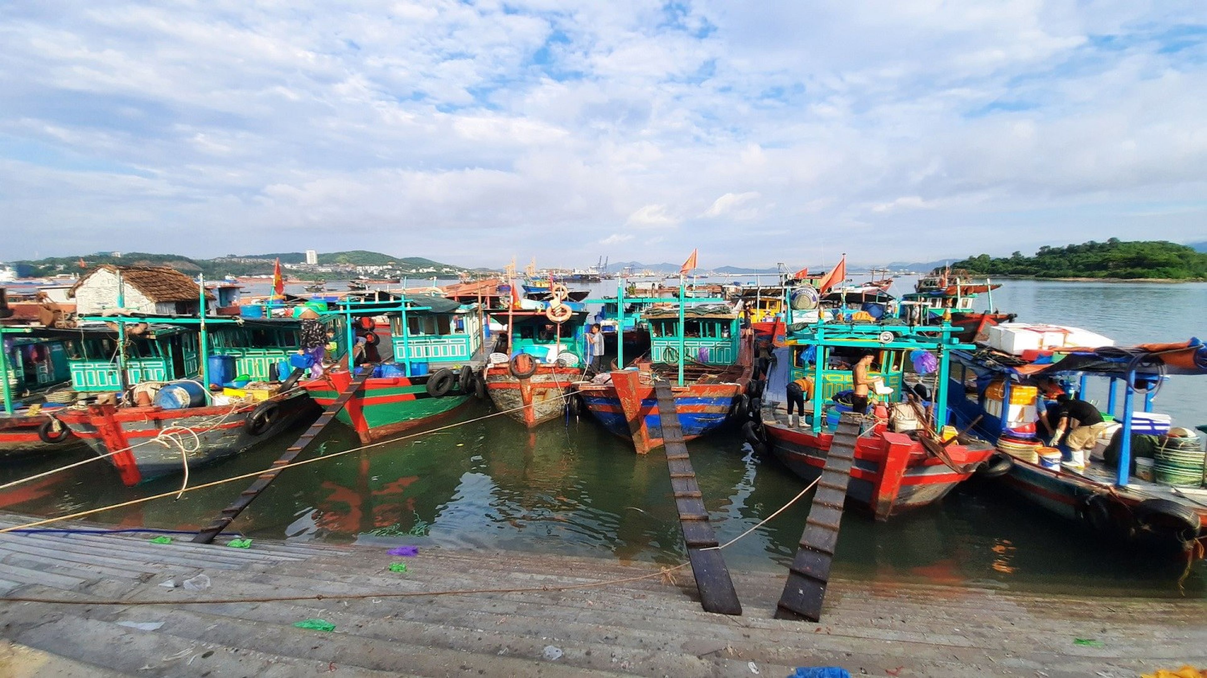 Chợ hải sản Hòn Gai - Chợ đầu mối nổi tiếng thành phố Hạ Long - Hình 7