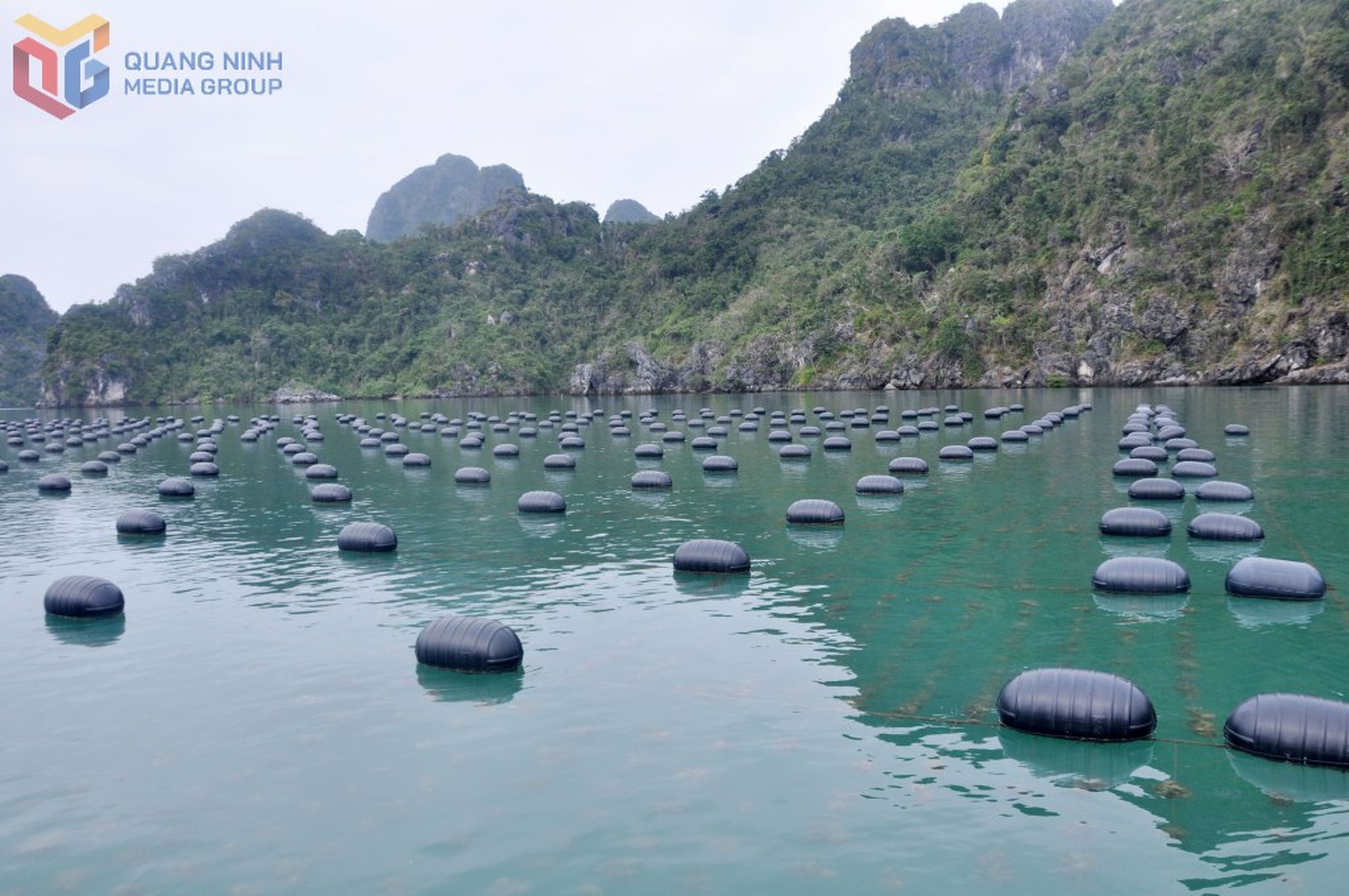 Developing Tourism Linked to Aquaculture in Van Don - Hình 4