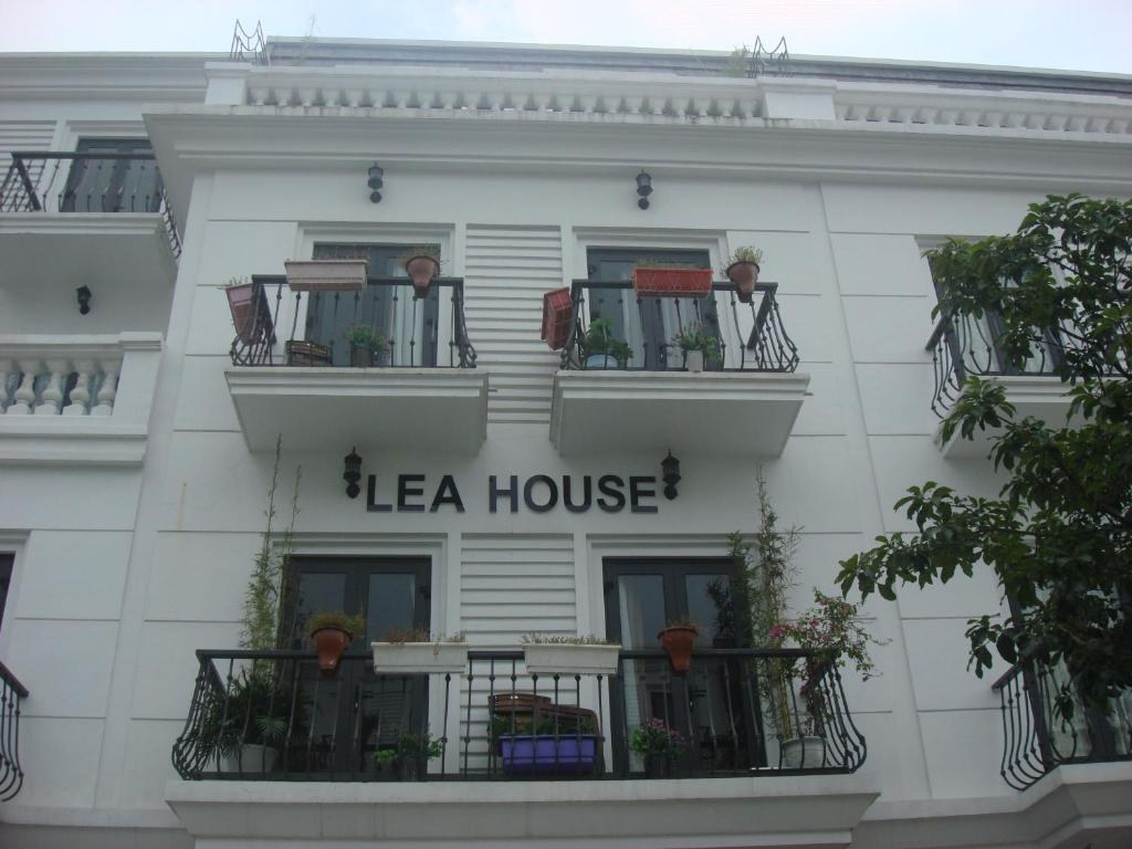 Lea House Ha Long - Hình 32