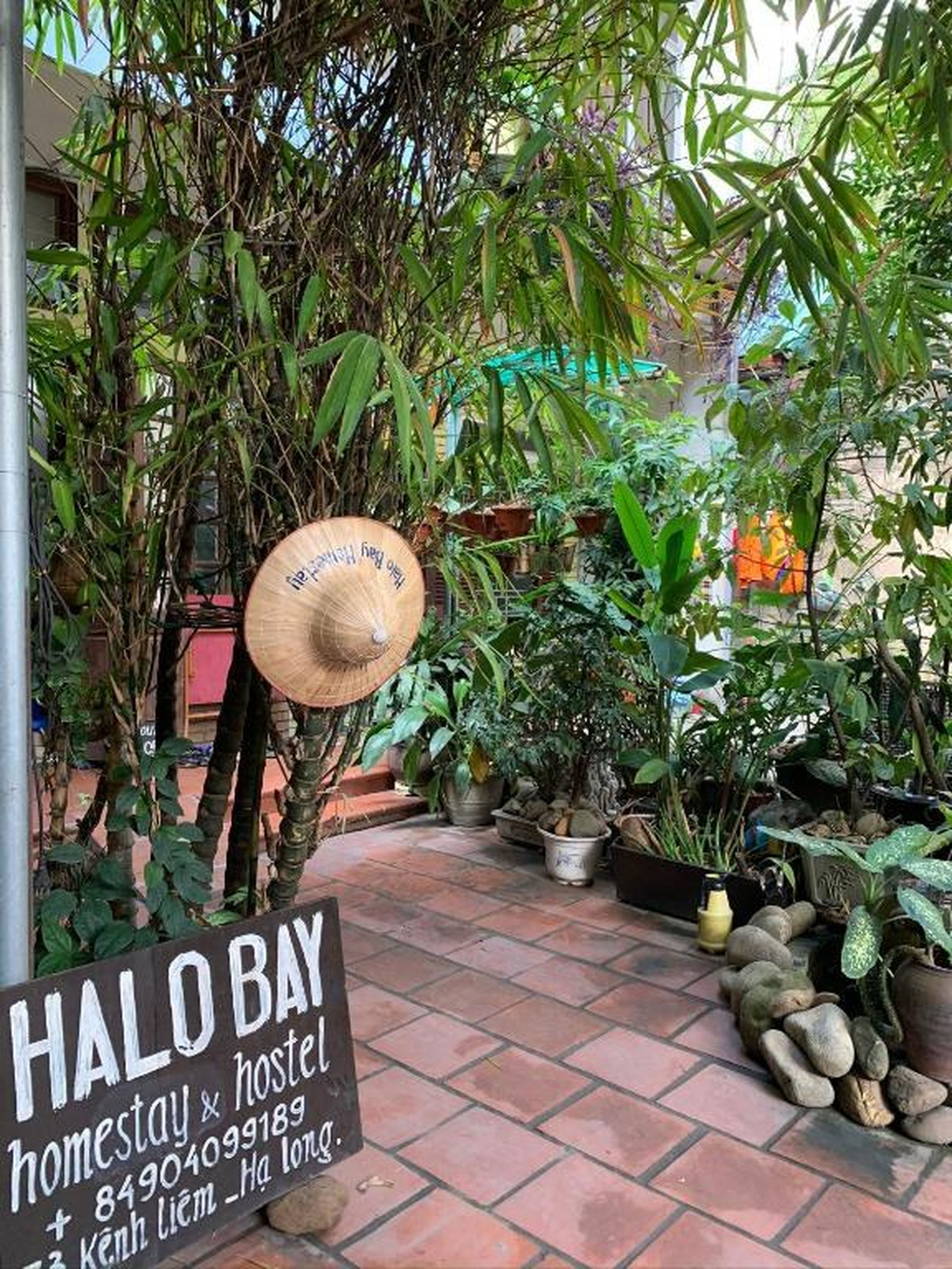Halo Bay Homestay - Hình 15