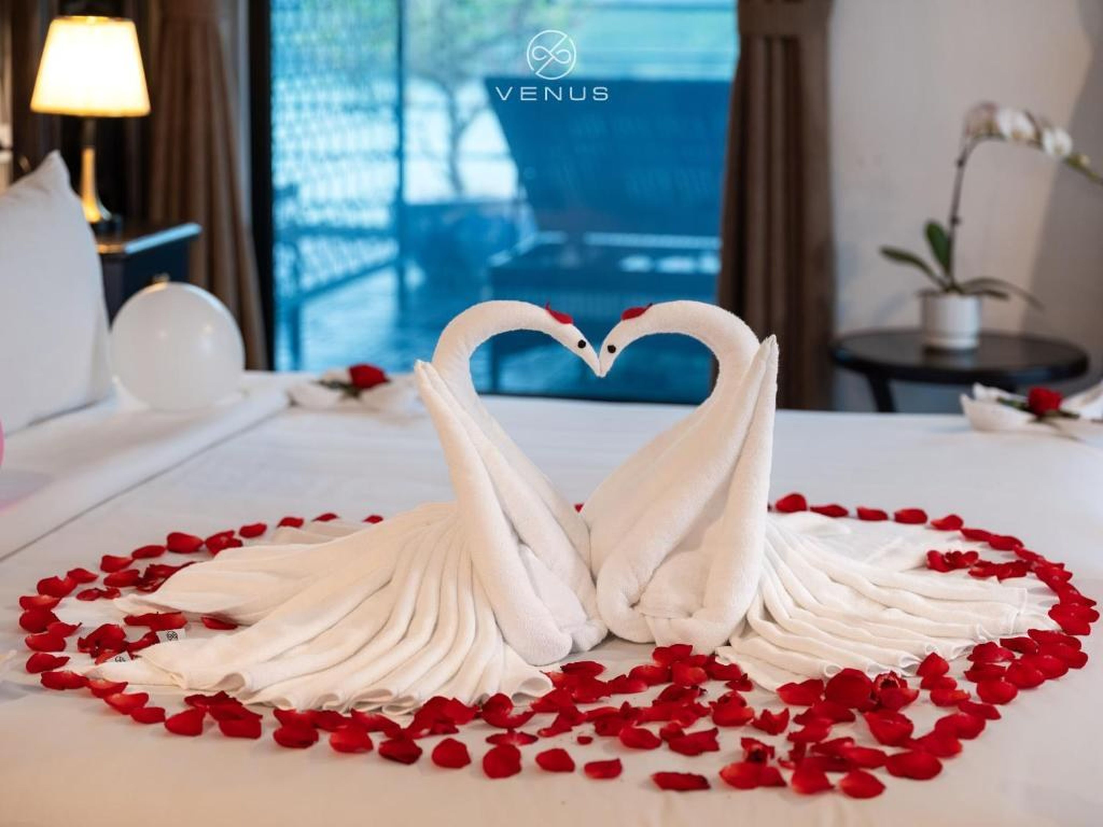 Venus Cruises Halong Bay by Venus Group - Hình 20