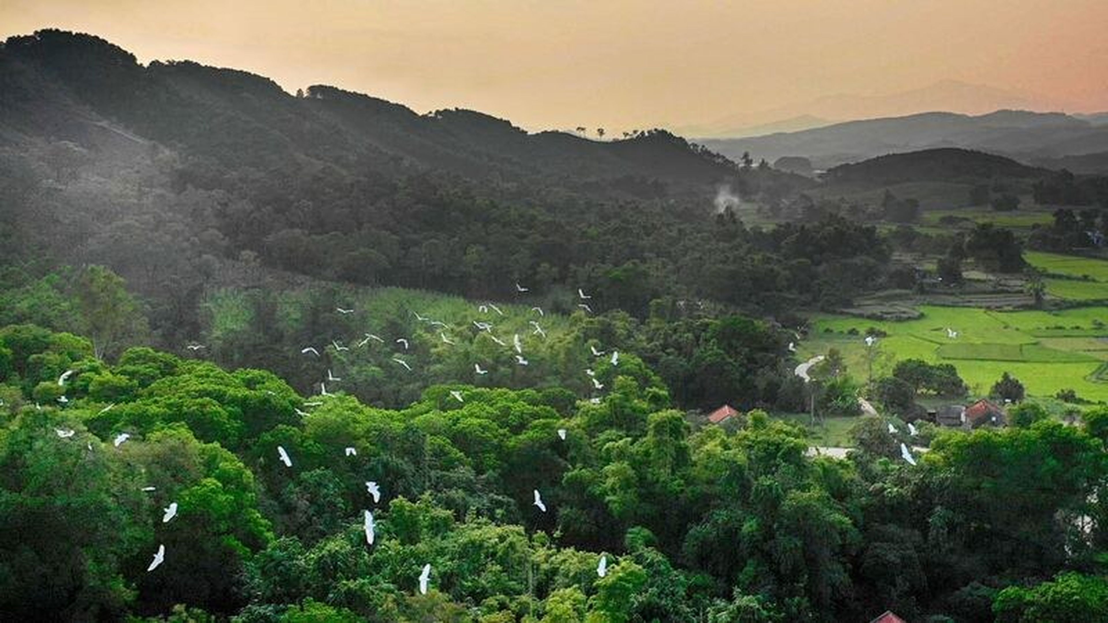 Du lịch Đầm Hà, Quảng Ninh: Khám phá vùng đất hoang sơ ít người biết - Hình 2