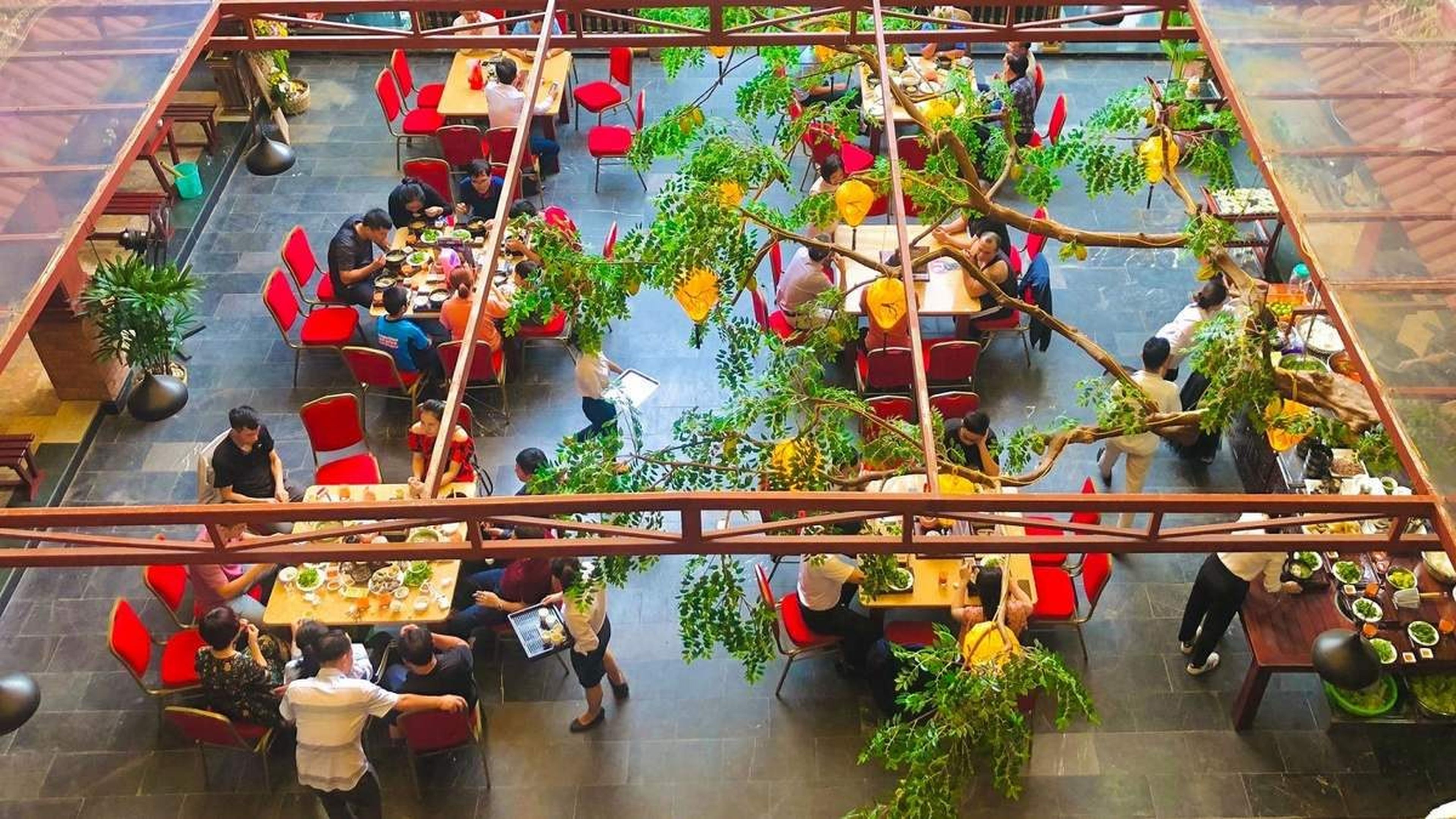 Discover Delicious Dishes at Trang Gia Vien Restaurants in Uong Bi and Ha Long - Hình 5