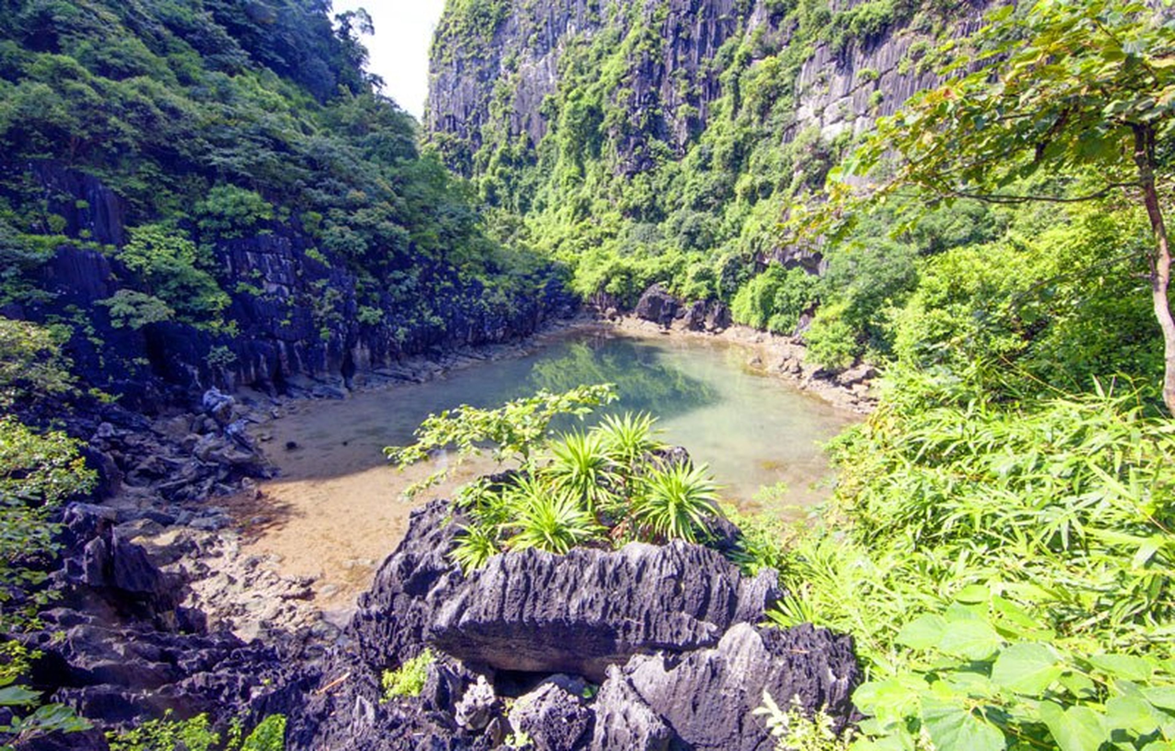 Hồ Động Tiên洞——下龙湾遗产腹地的仙境 - Hình 1