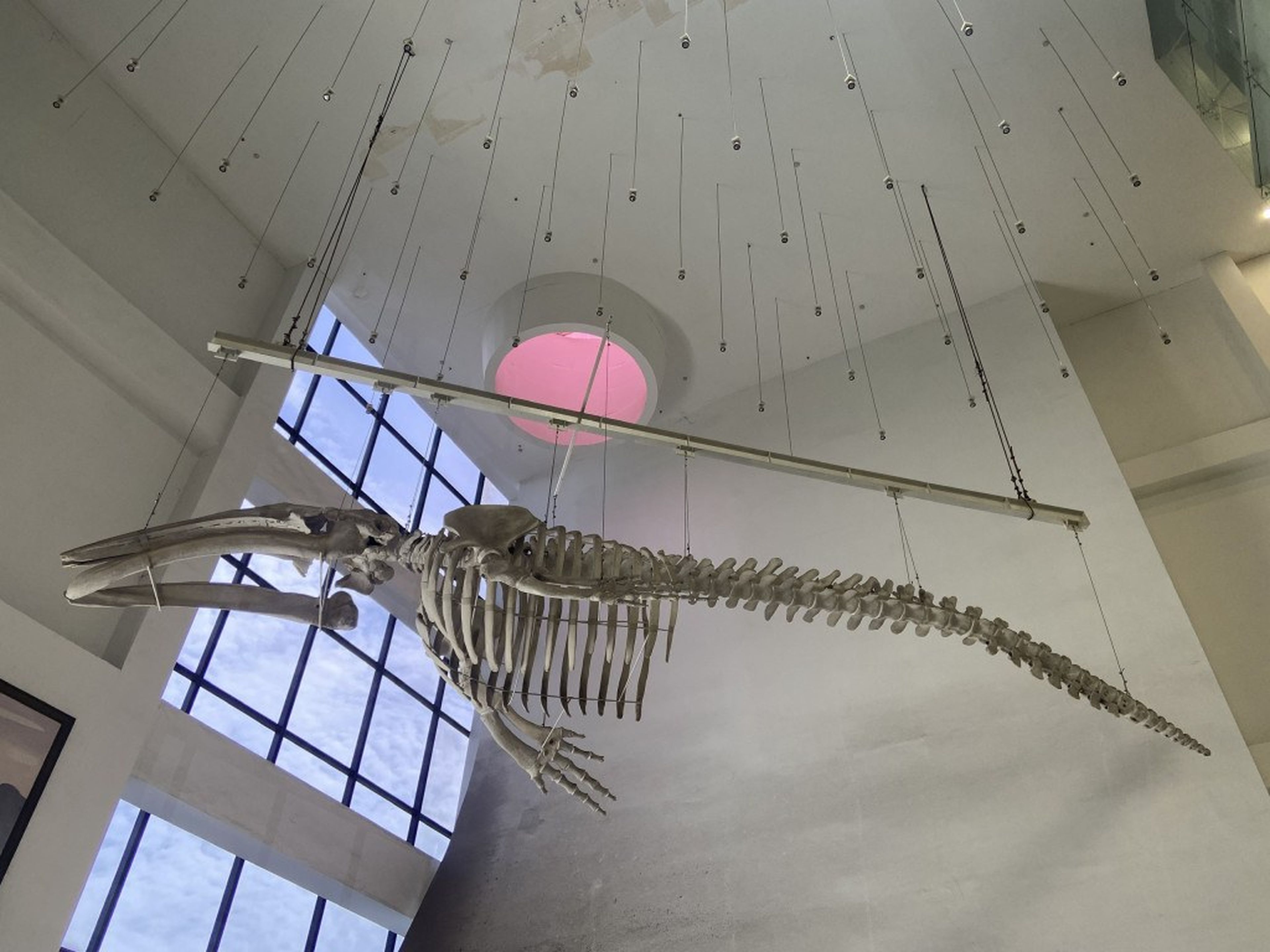 Ha Long Travel – Check in at the Unique Quang Ninh Museum by the Bay - Hình 6