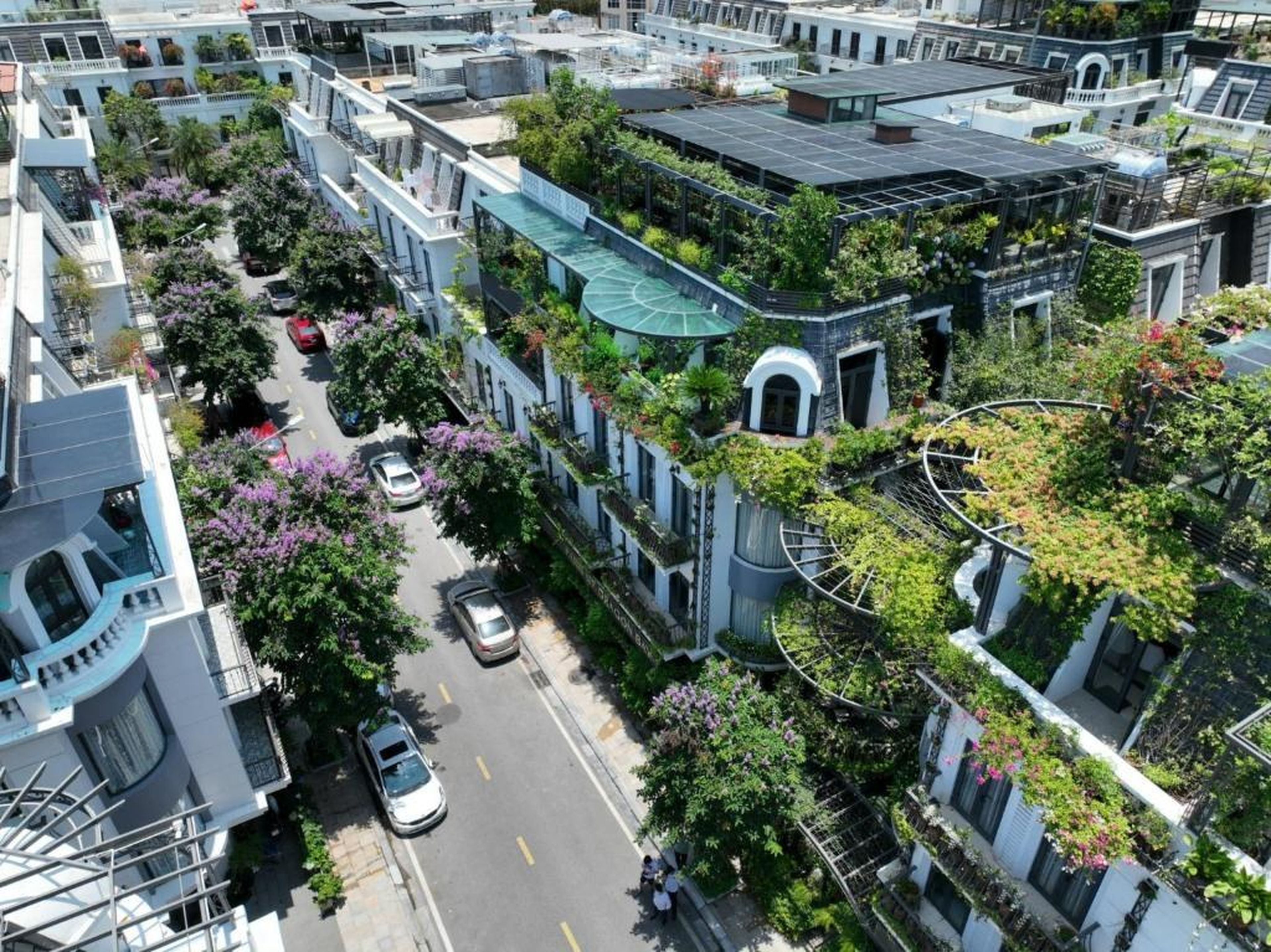 Paris Of Dragon Bay - Hình 32