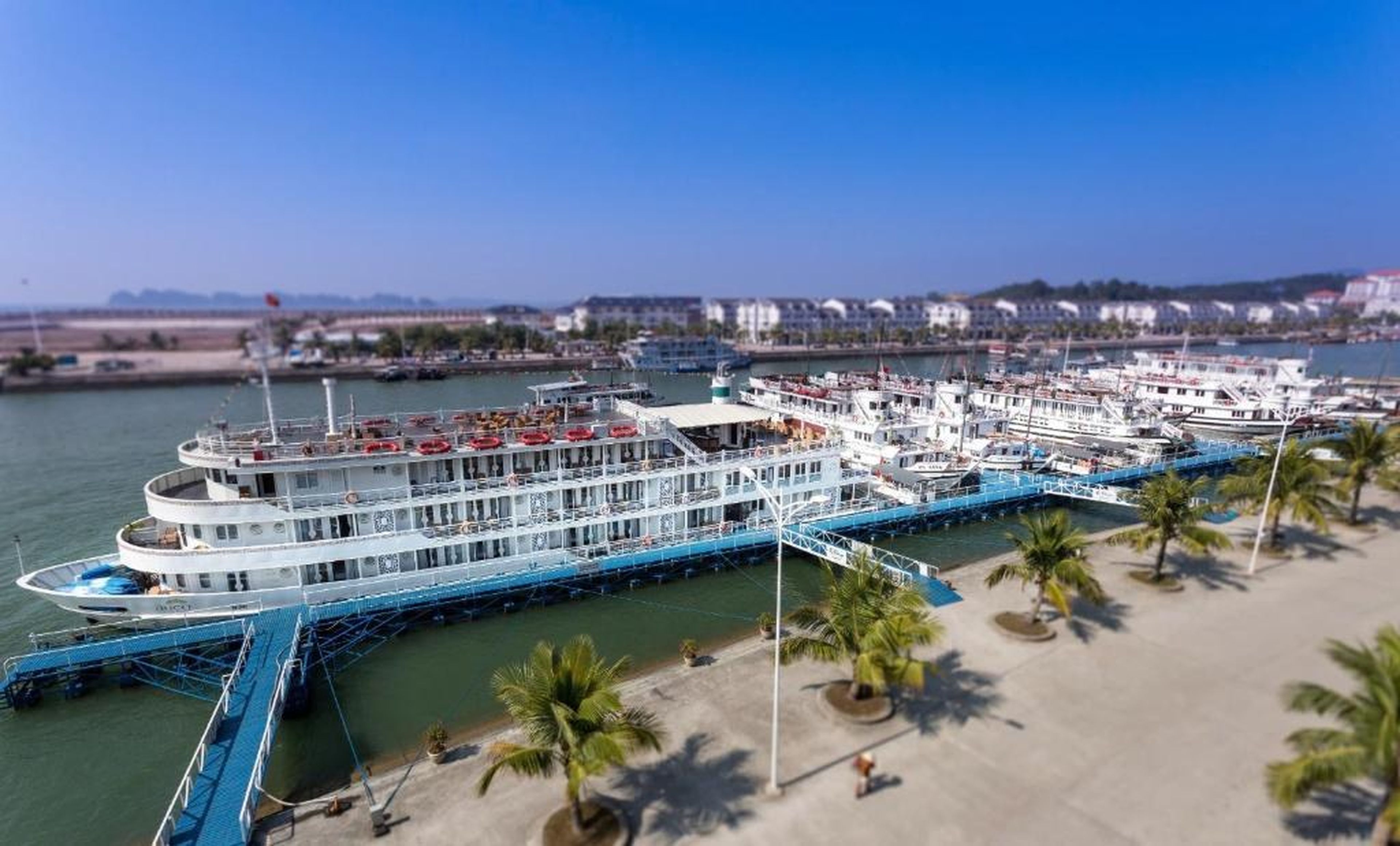 The Au Co Cruise - Longest Cruise 2 Bays - Hình 6
