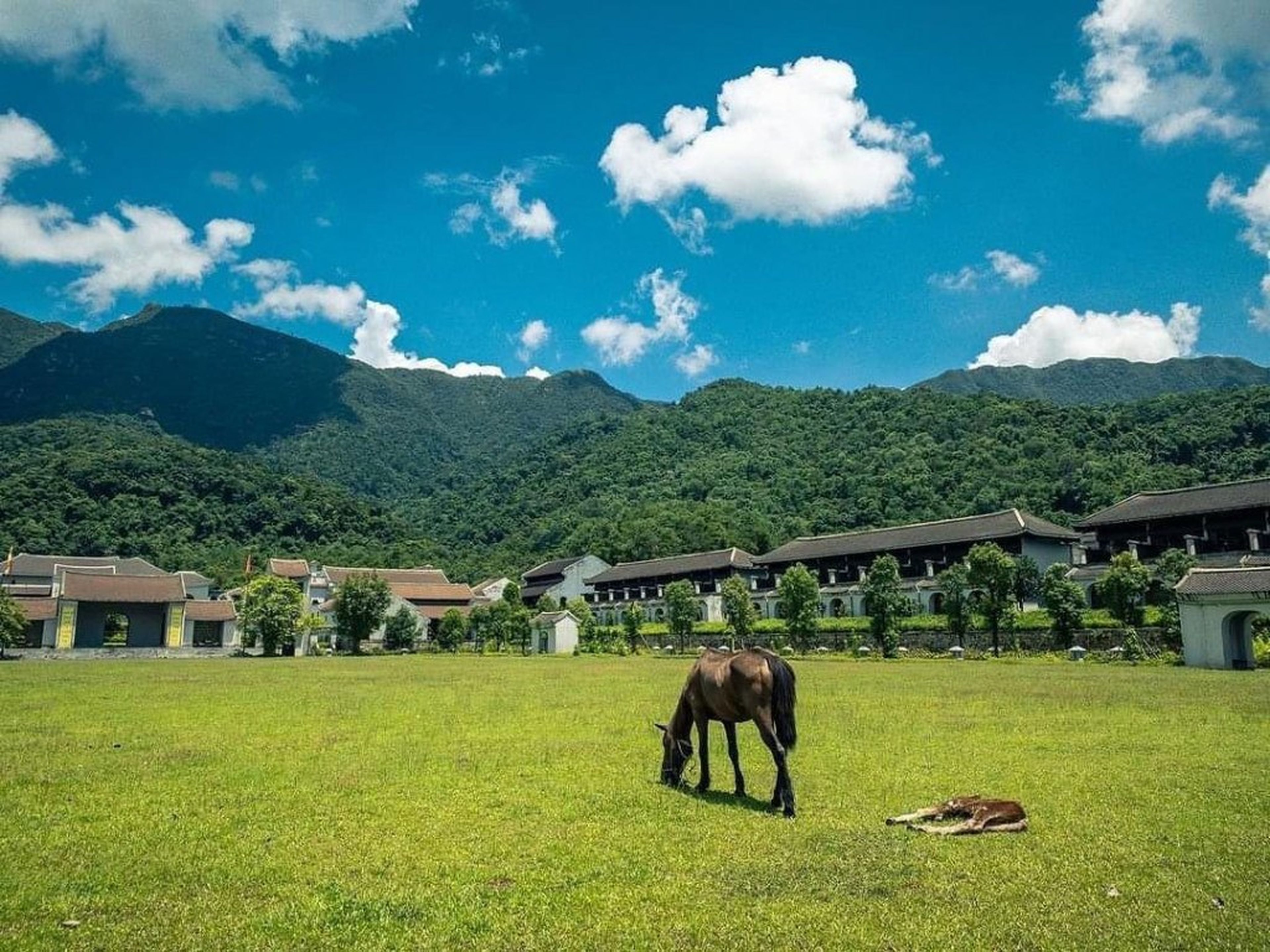 Không gian văn hóa nhà Trần ở làng Nương Yên Tử - Hình 7