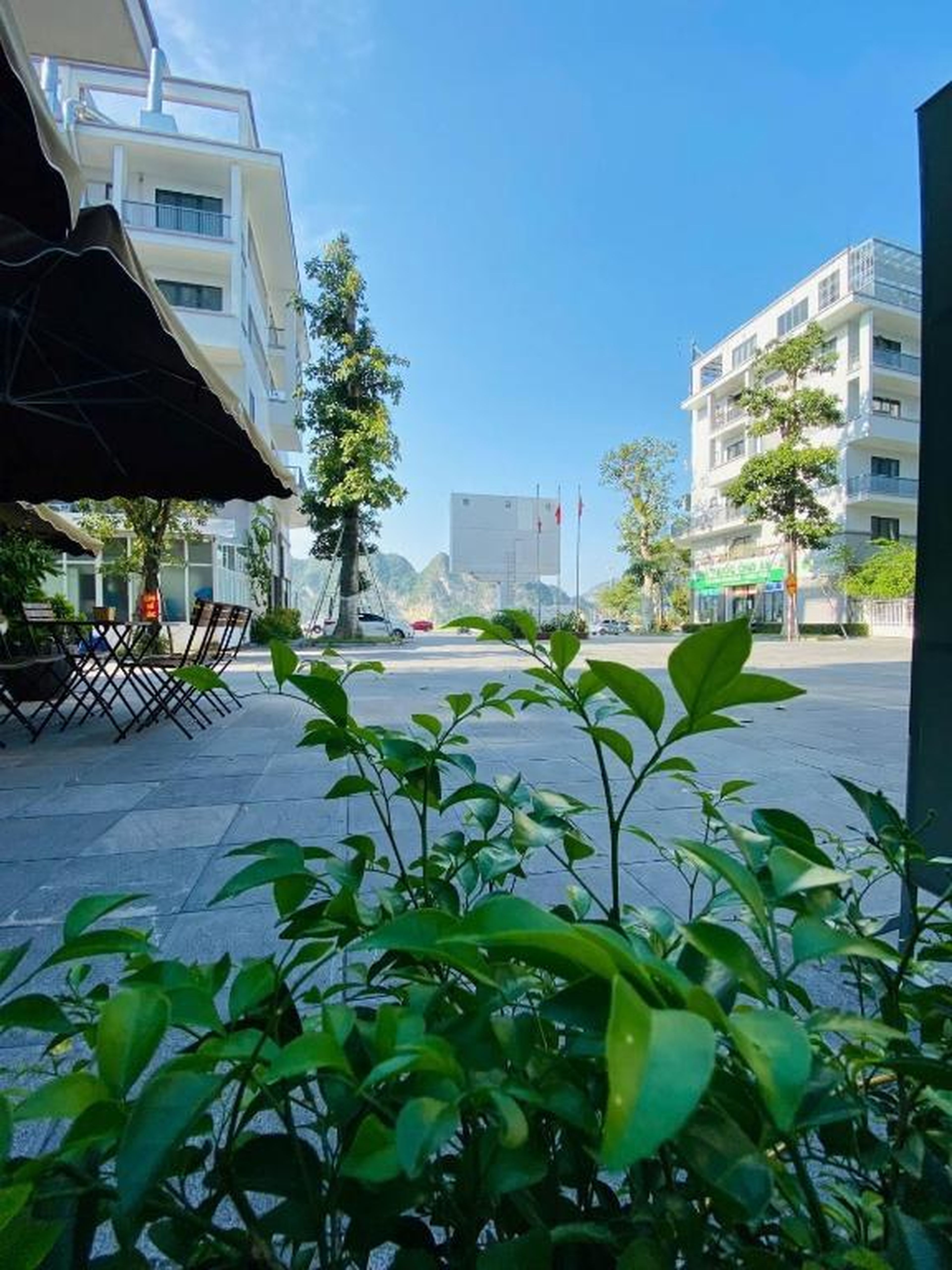Helen Halong Hotel - Hình 12