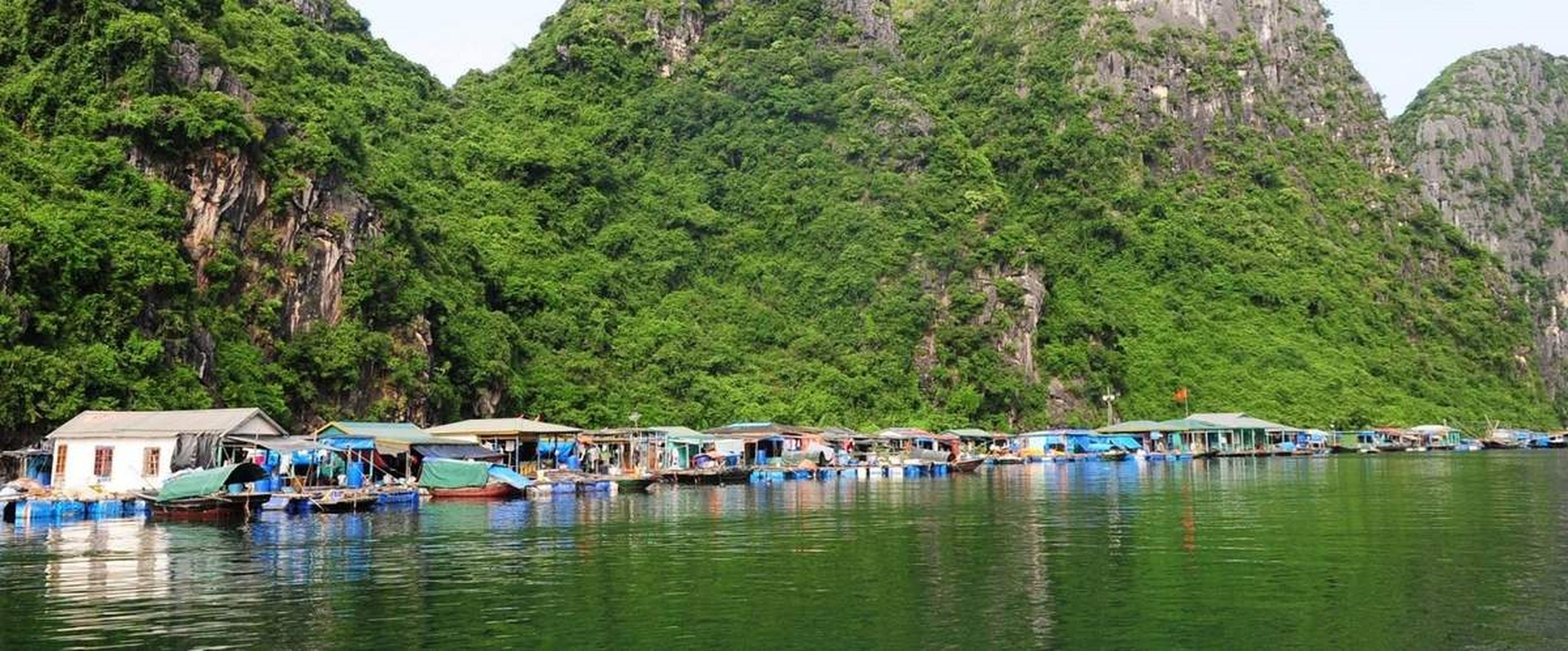 Làng chài Cửa Vạn - Ngôi làng nhỏ thanh bình giữa Vịnh Thiên Đường - Hình 2