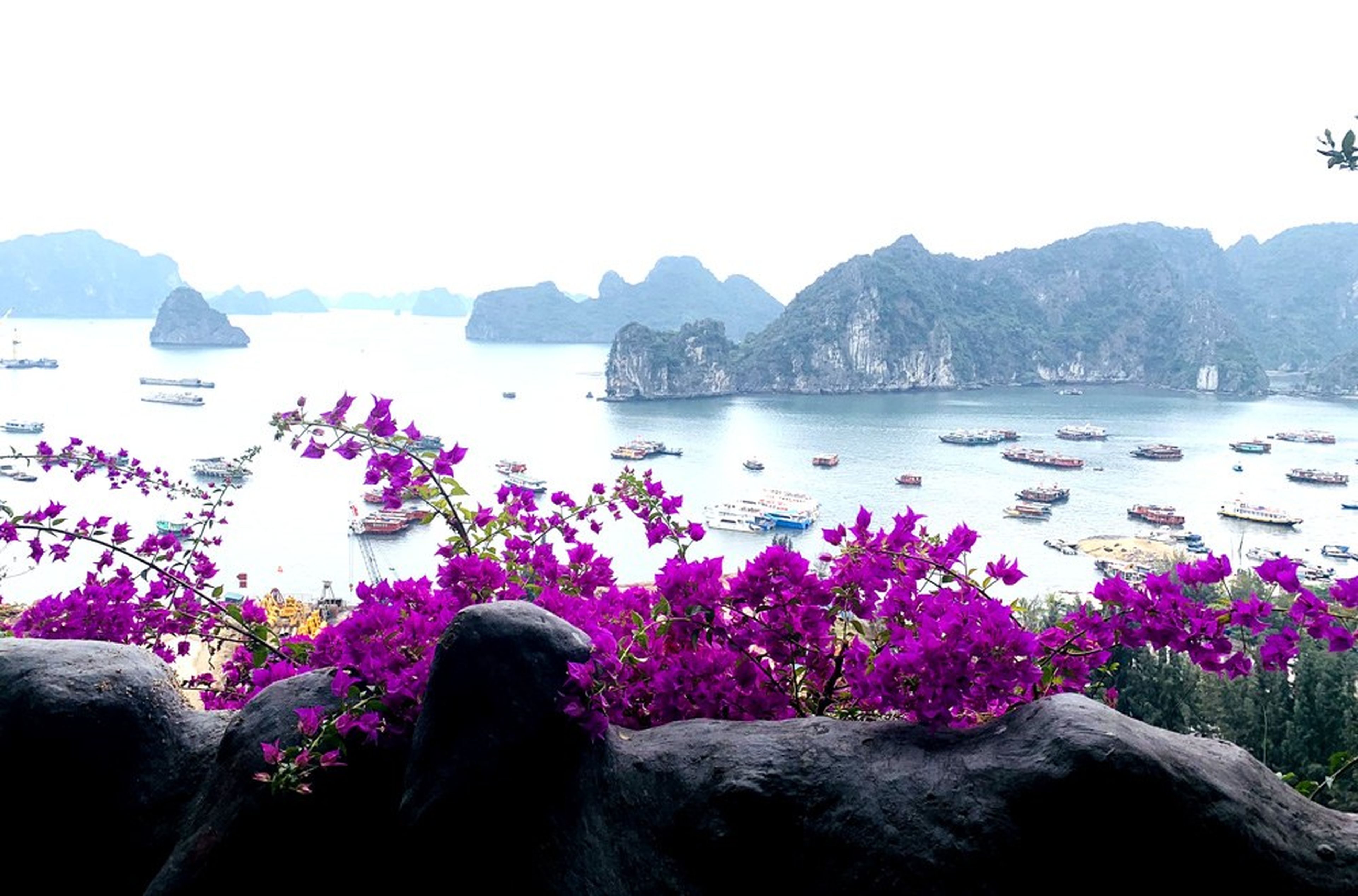 Vũng Đục Cave – Marvel at Nature’s Masterpiece - Hình 3