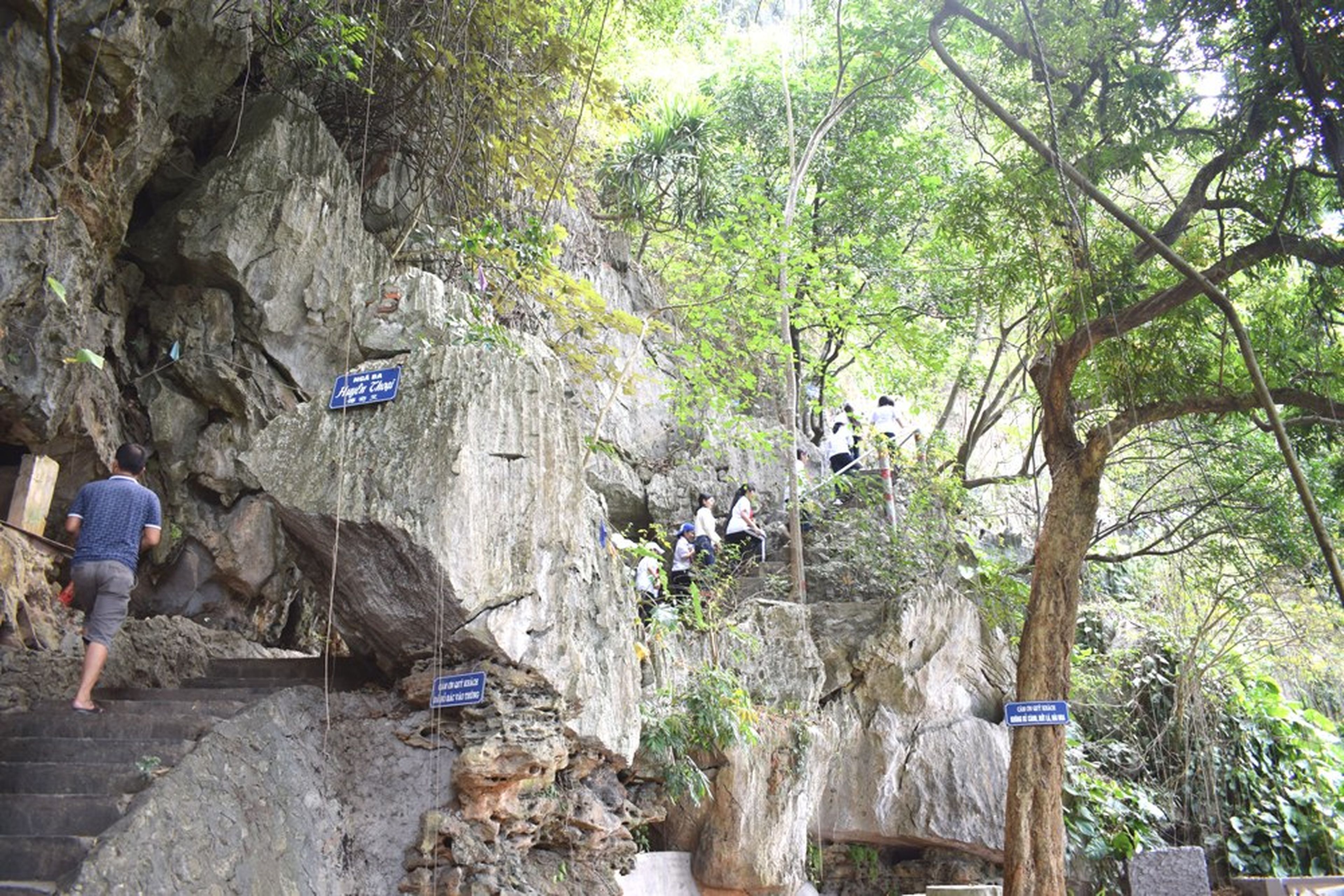 Vũng Đục Cave – Marvel at Nature’s Masterpiece - Hình 4