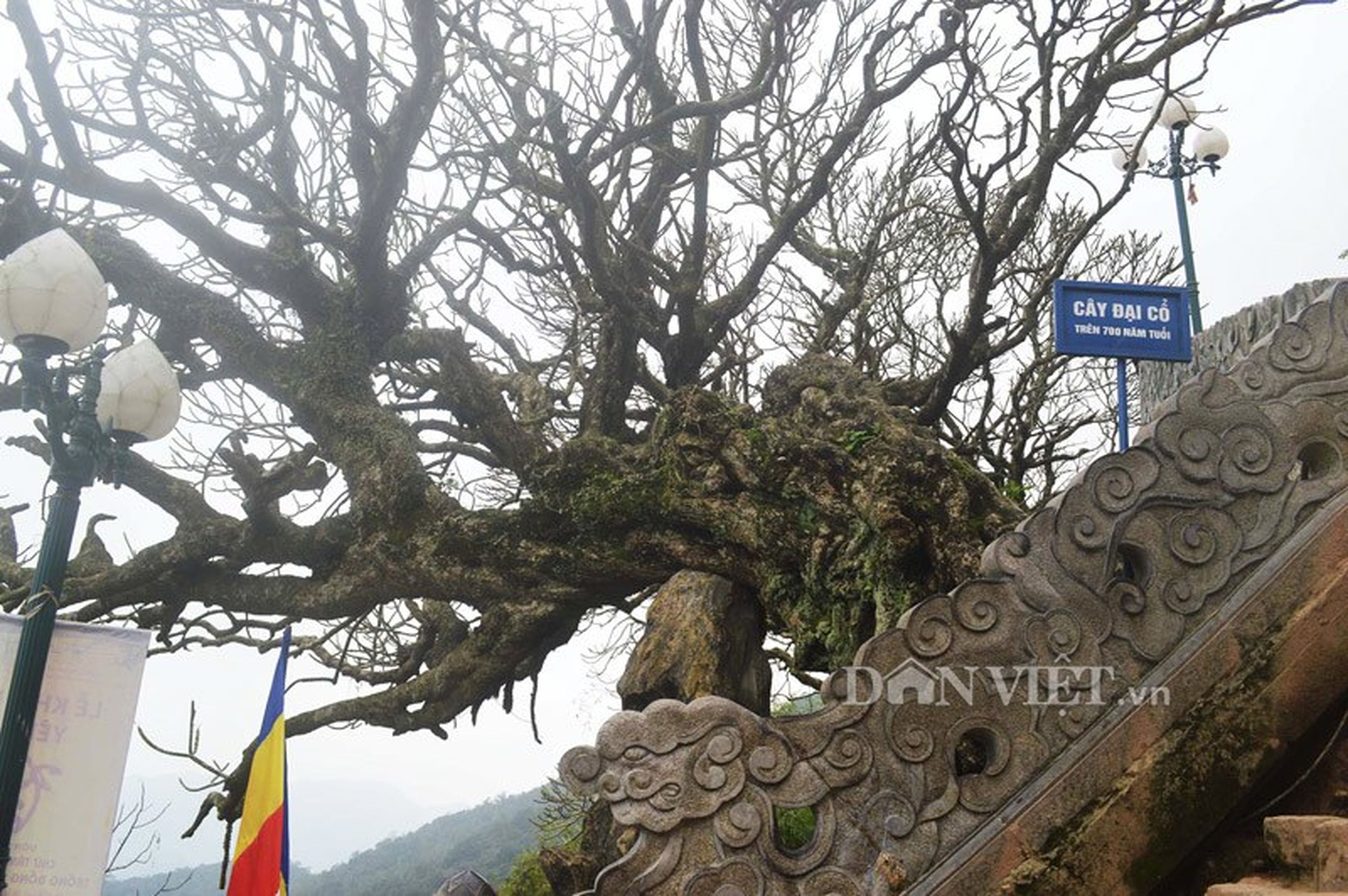Yên Tử Scenic Site – Sacred Land, Birthplace of the Trúc Lâm Zen Sect - Hình 11
