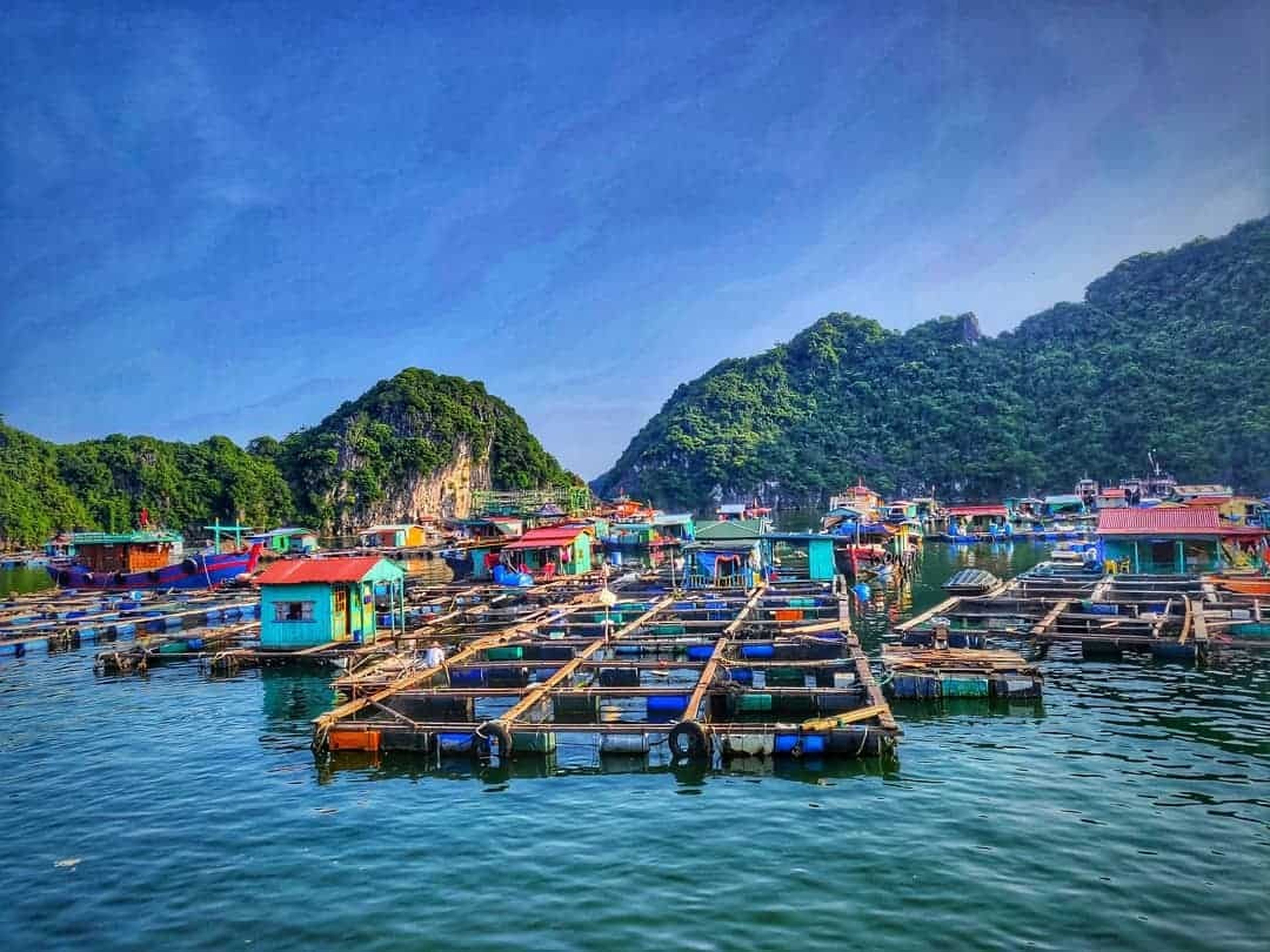 Làng chài Cửa Vạn - Ngôi làng nhỏ thanh bình giữa Vịnh Thiên Đường - Hình 9