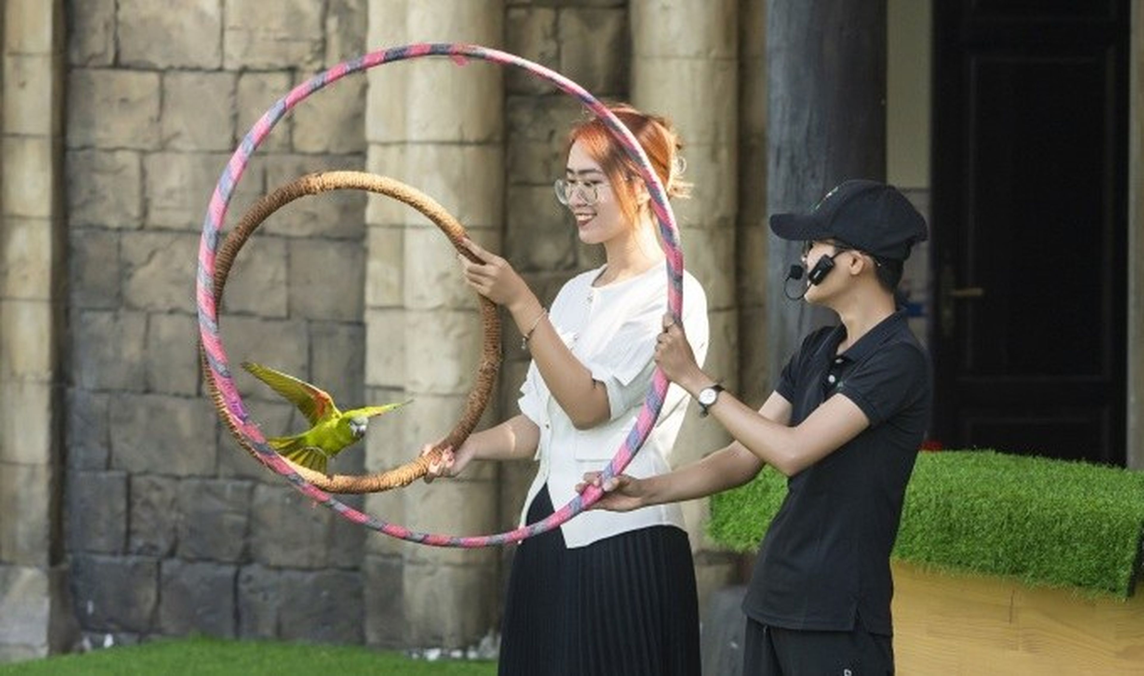 Sky Dance Show – A Unique Experience with Many Rare Bird Species - Hình 2
