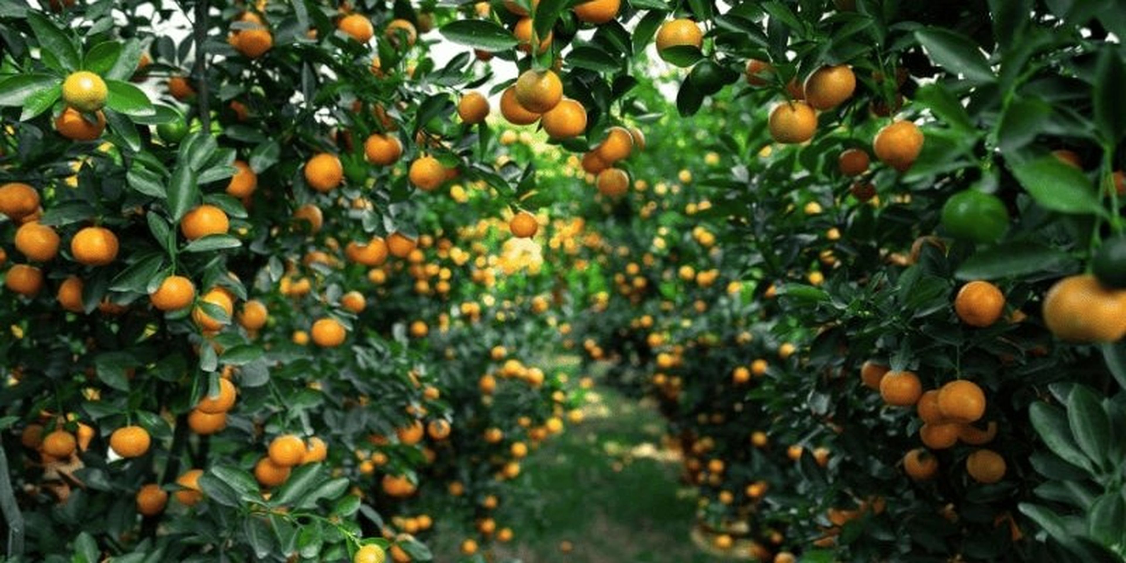 Chia sẻ kinh nghiệm du lịch Đông Triều Quảng Ninh - Hình 3