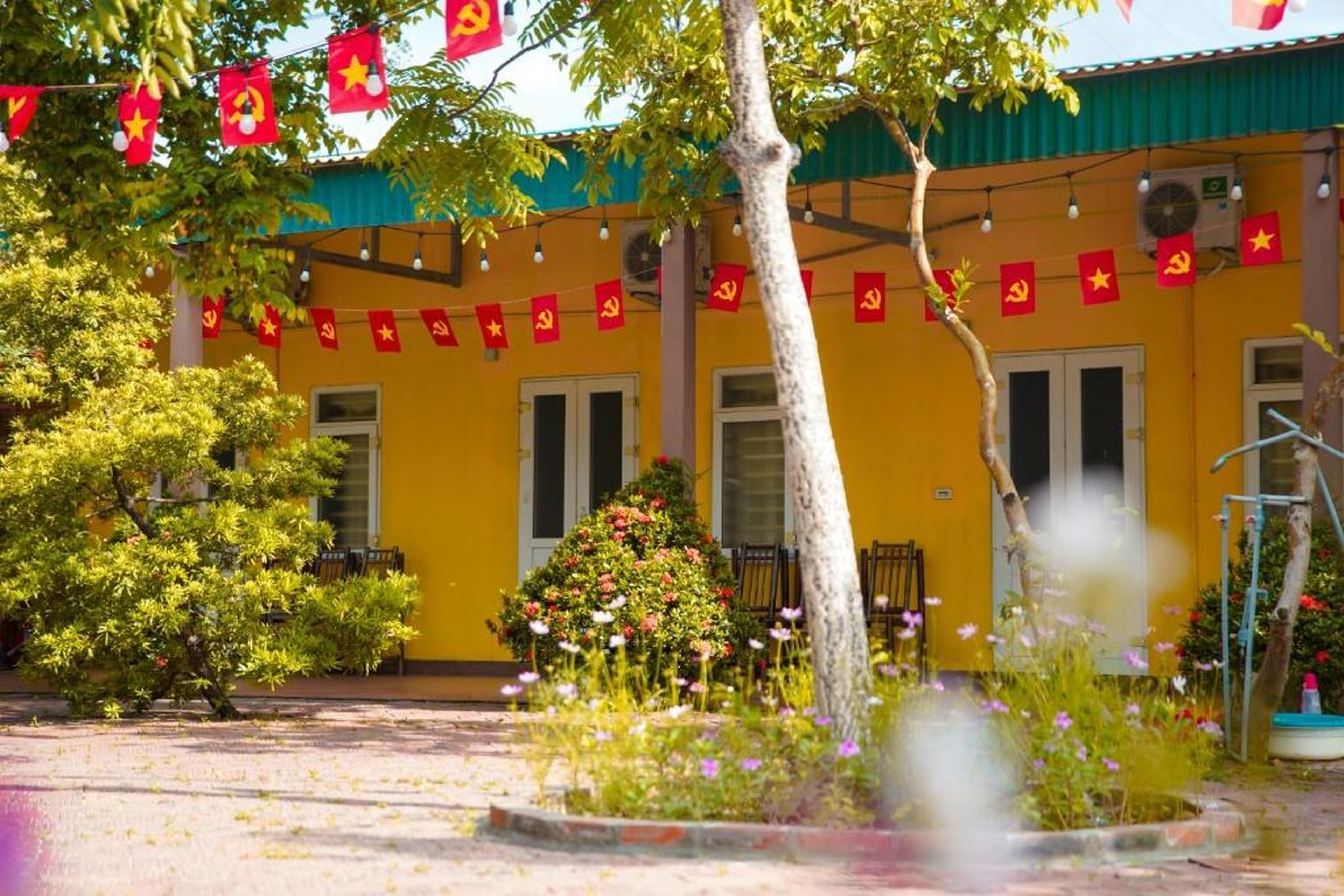 Cô Tô Lương Chi - Hình 48